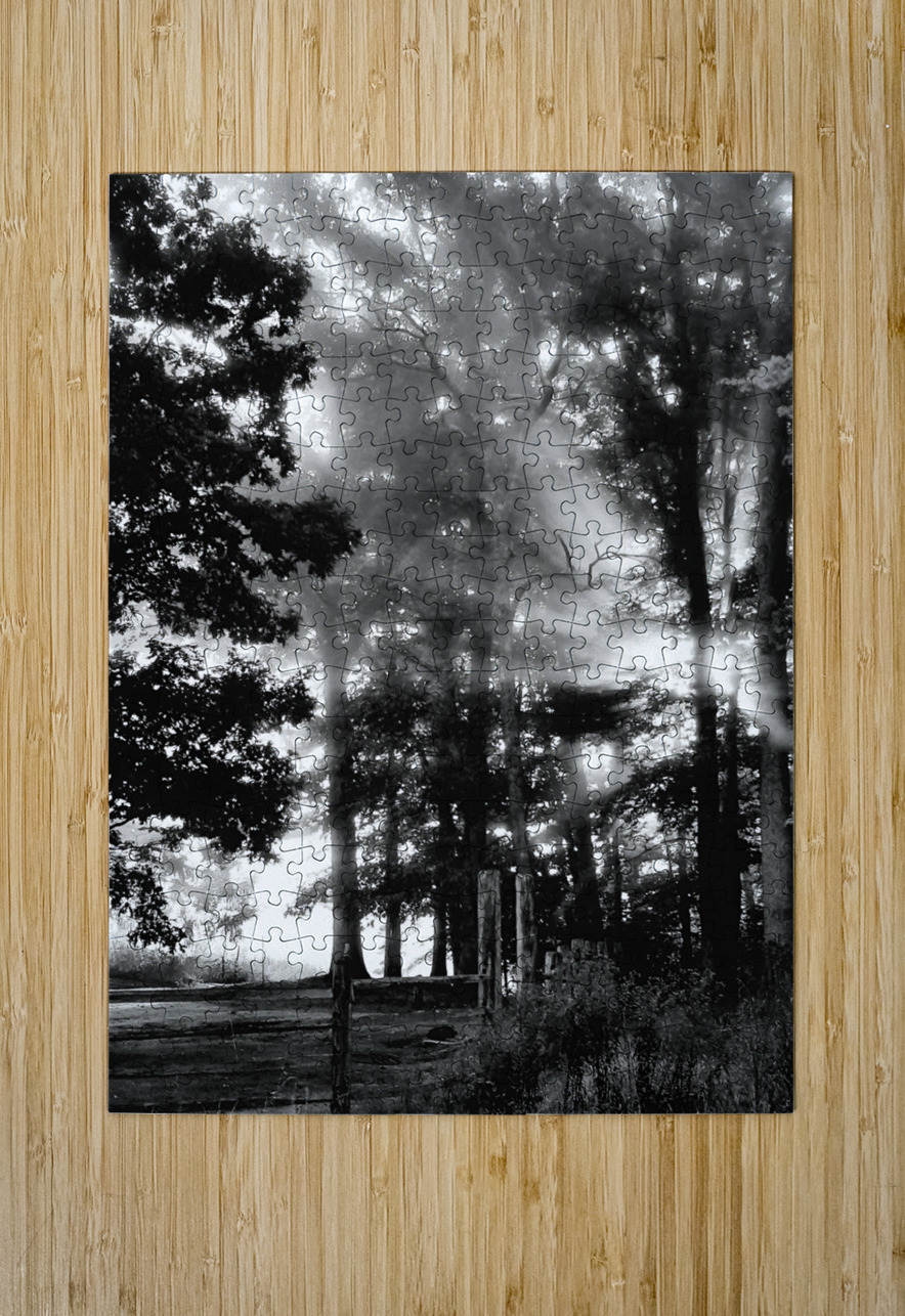 Misty Morning Rays Earthshine Emporium Puzzle printing