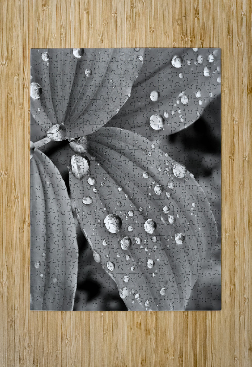 Raindrops Earthshine Emporium Puzzle printing