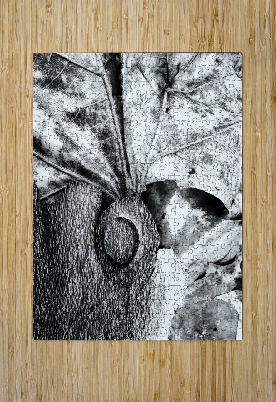 Botanical Shapes Earthshine Emporium Puzzle printing