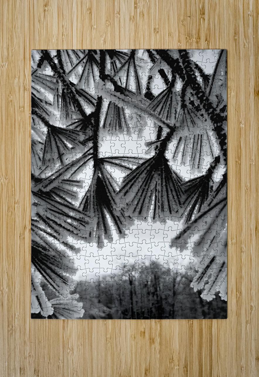 Snowy Conifer 1 Earthshine Emporium Puzzle printing