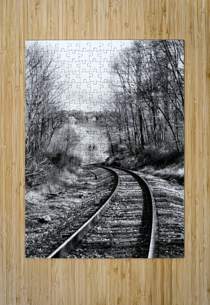 Railroad Earthshine Emporium Puzzle printing