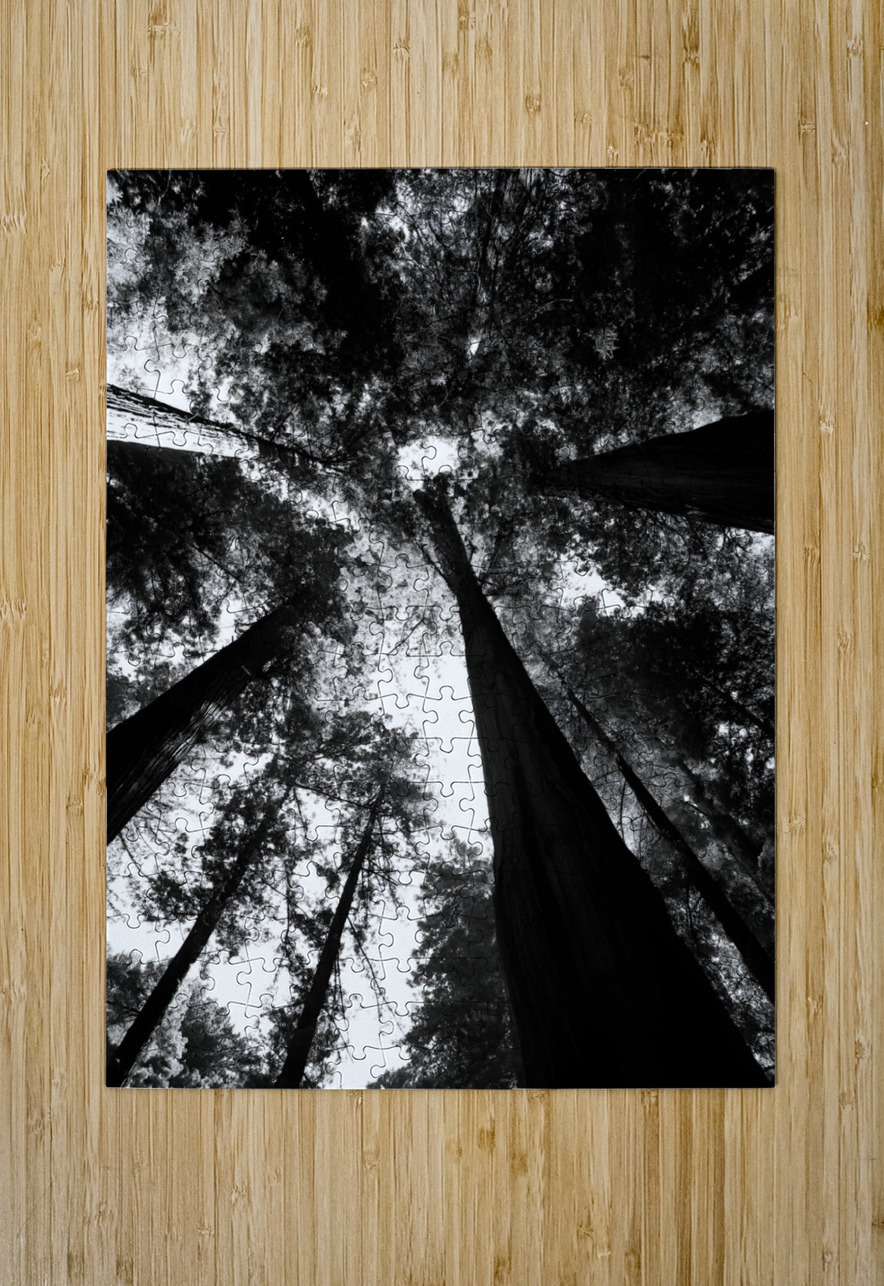 Redwoods Earthshine Emporium Puzzle printing