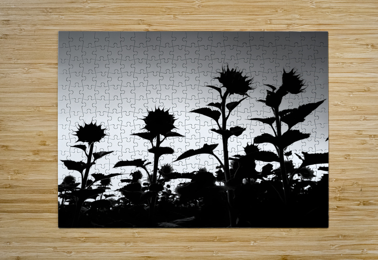 Sunflower Silhouette Earthshine Emporium Puzzle printing