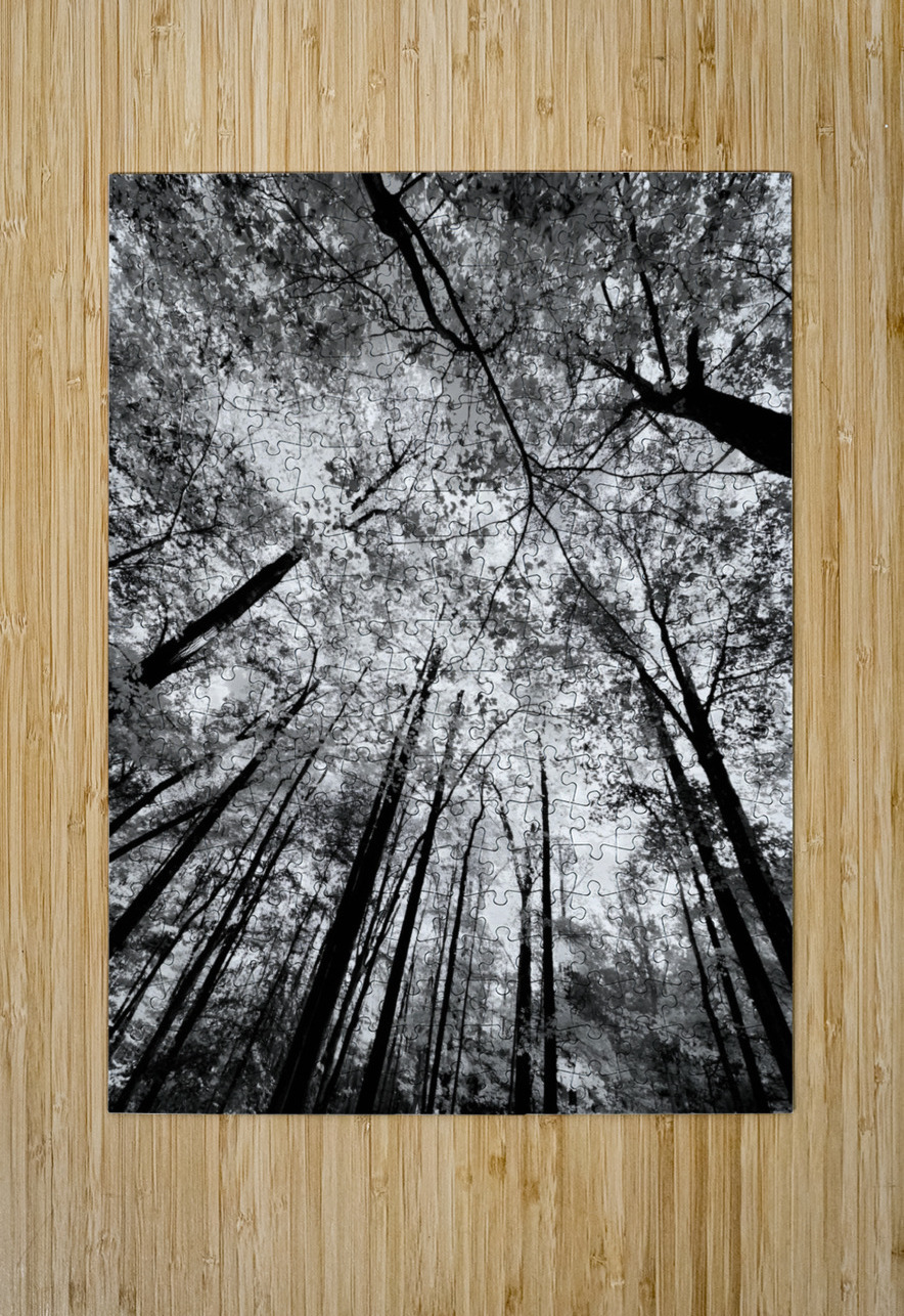 Forest Canopy Earthshine Emporium Puzzle printing