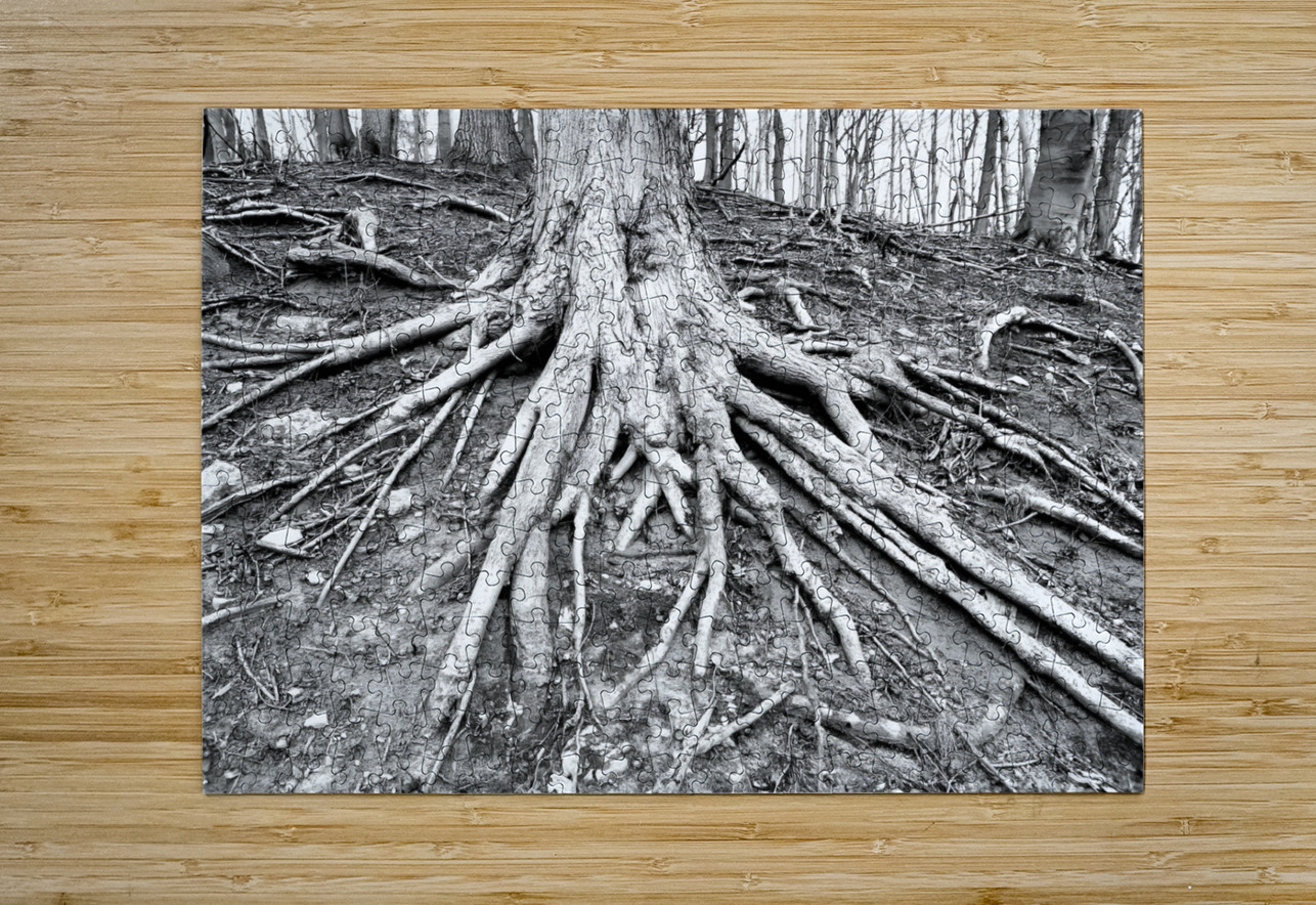 Root Flare Earthshine Emporium Puzzle printing