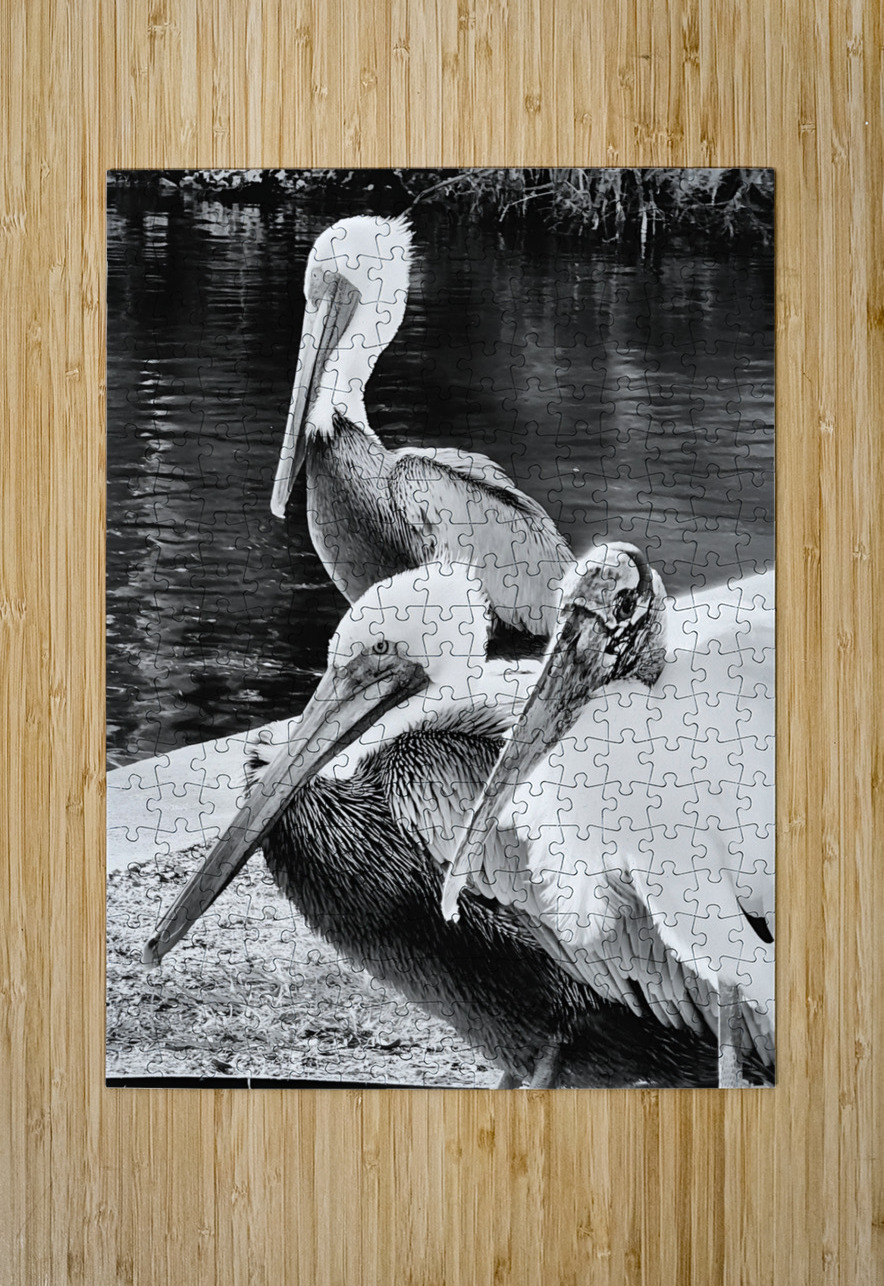 Stork Trio Earthshine Emporium Puzzle printing