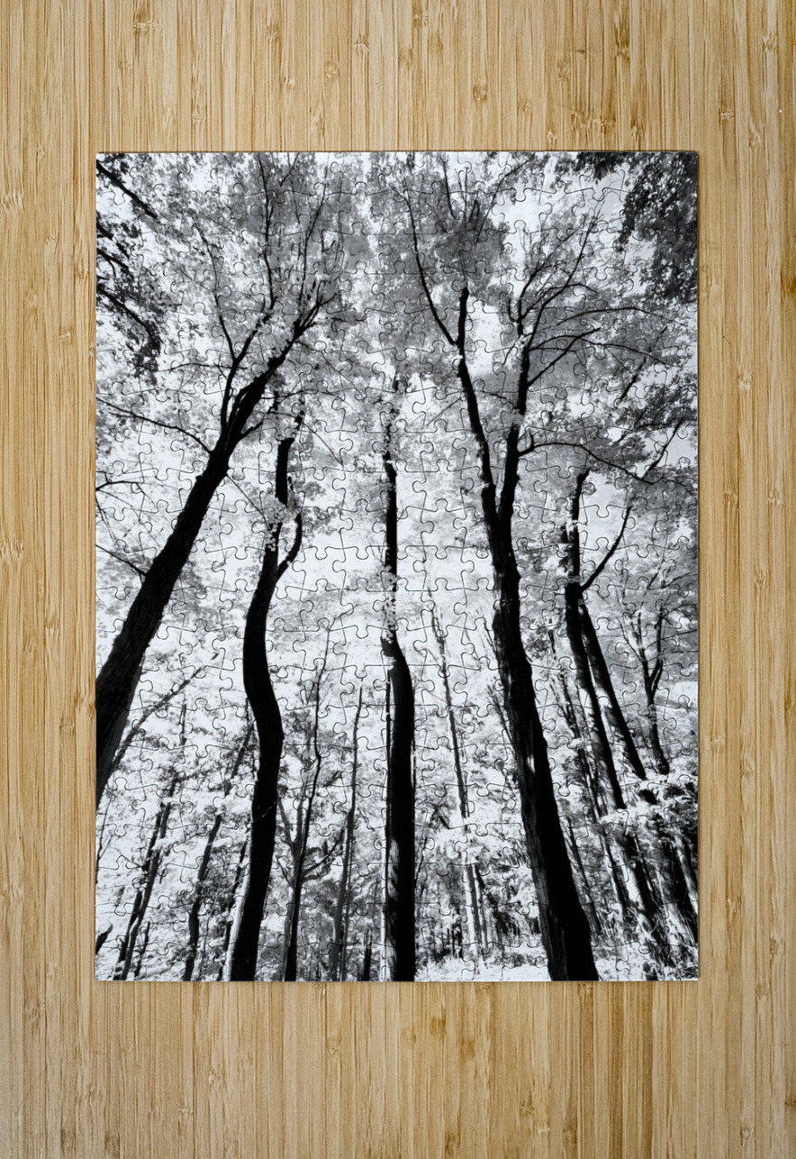 Pennsylvania Woods Earthshine Emporium Puzzle printing