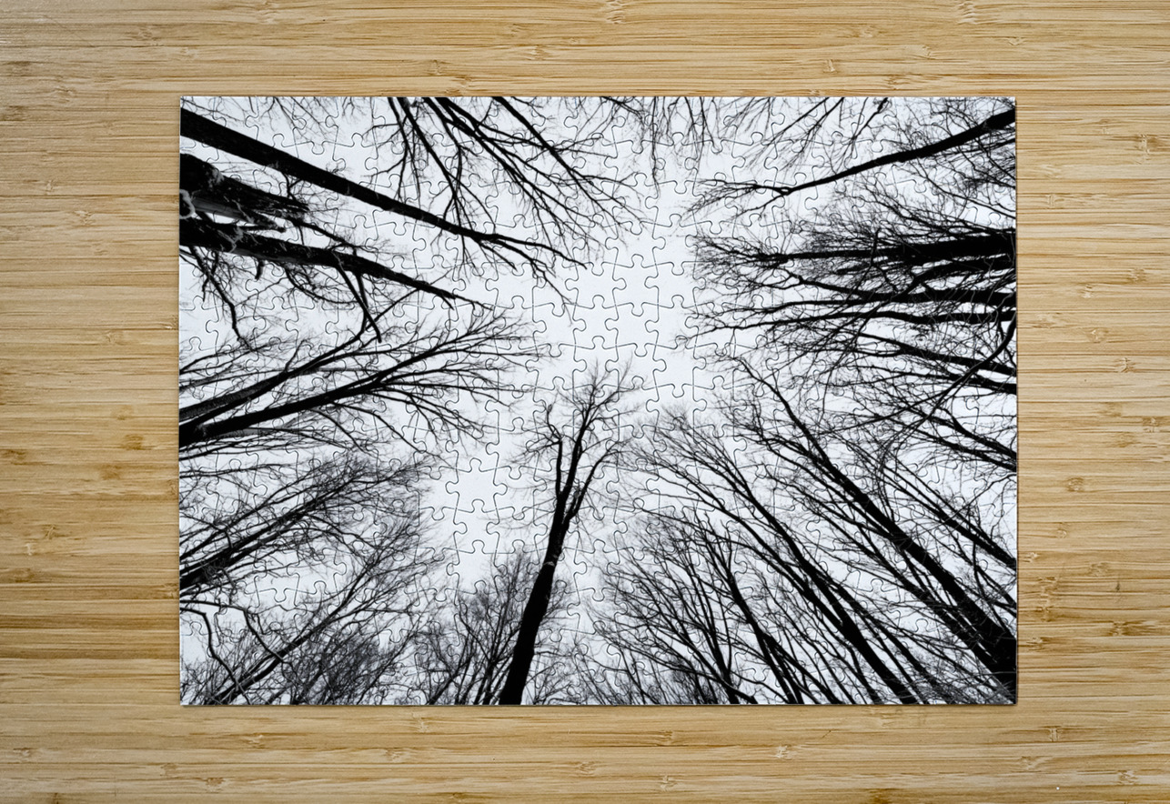 Winter Canopy Earthshine Emporium Puzzle printing