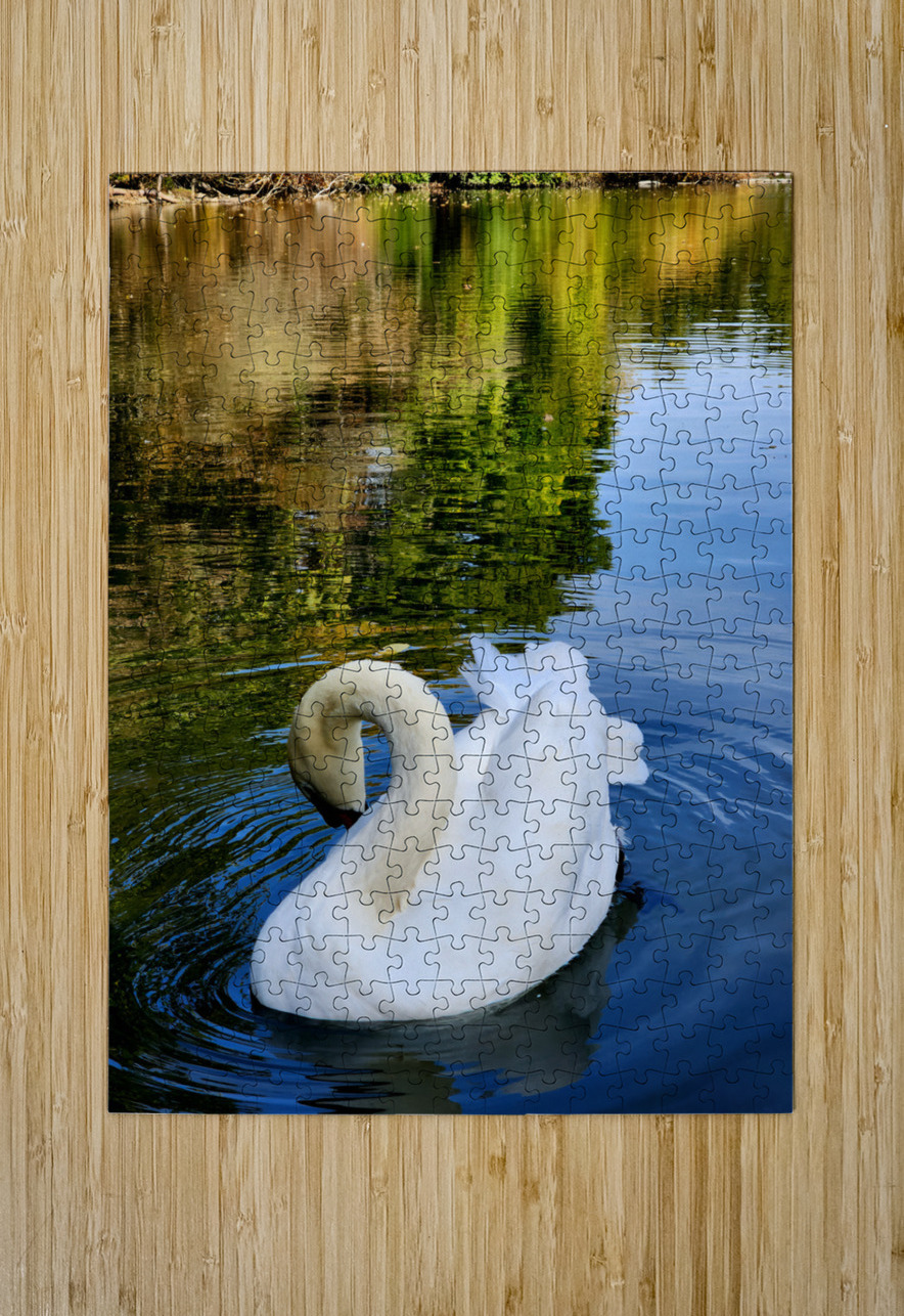 Swan 3 Earthshine Emporium Puzzle printing