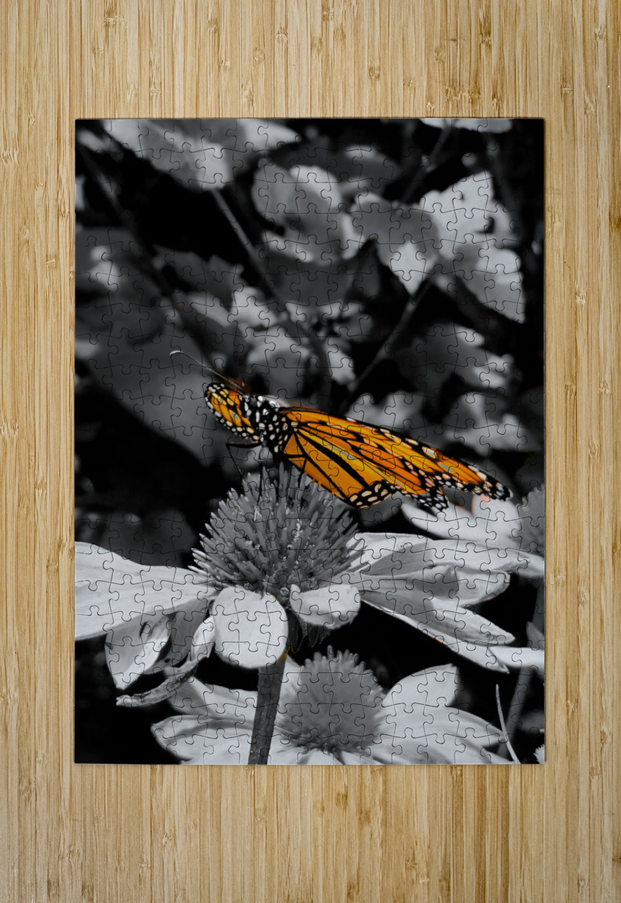 Monarch Highlight Earthshine Emporium Puzzle printing