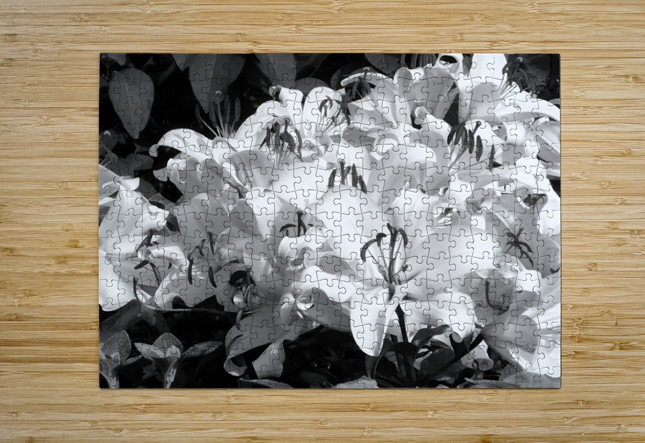 Lilies Earthshine Emporium Puzzle printing