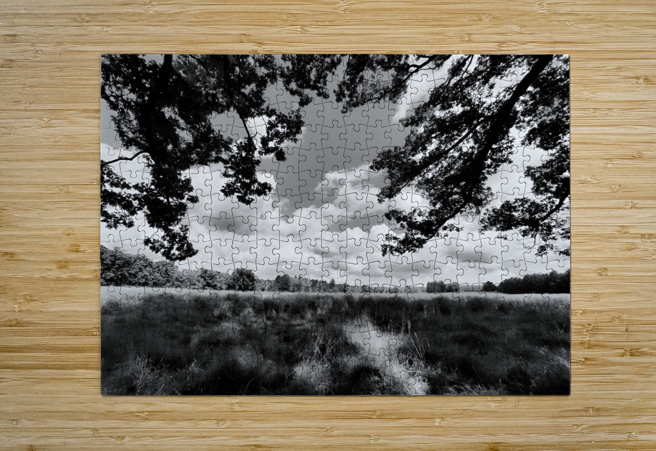 Meadow Earthshine Emporium Puzzle printing