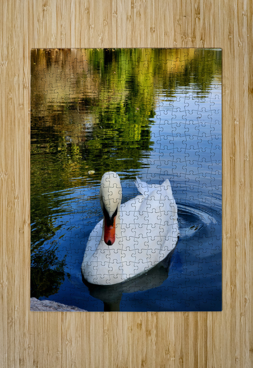 Swan 2 Earthshine Emporium Puzzle printing