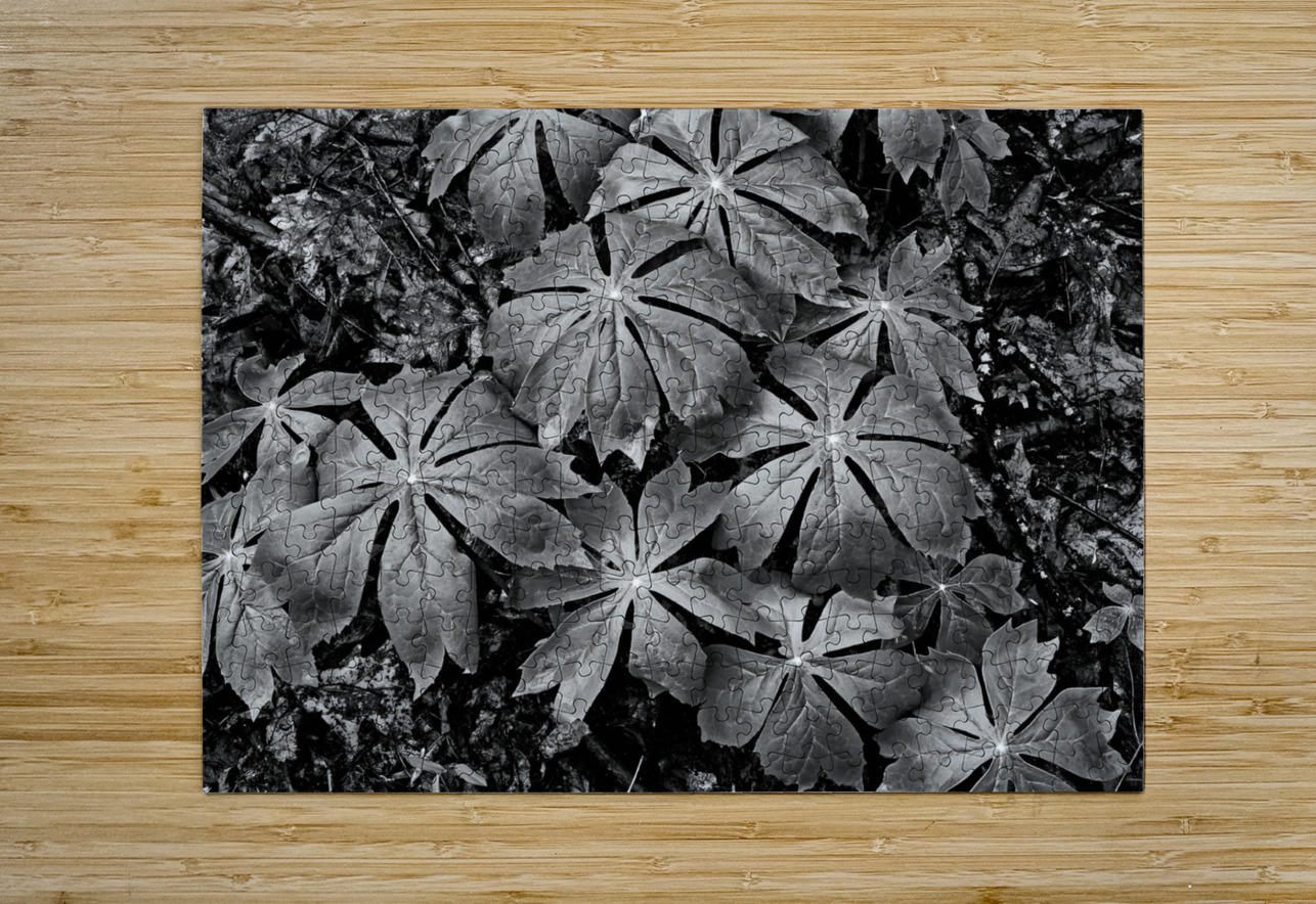 Mayapples Earthshine Emporium Puzzle printing