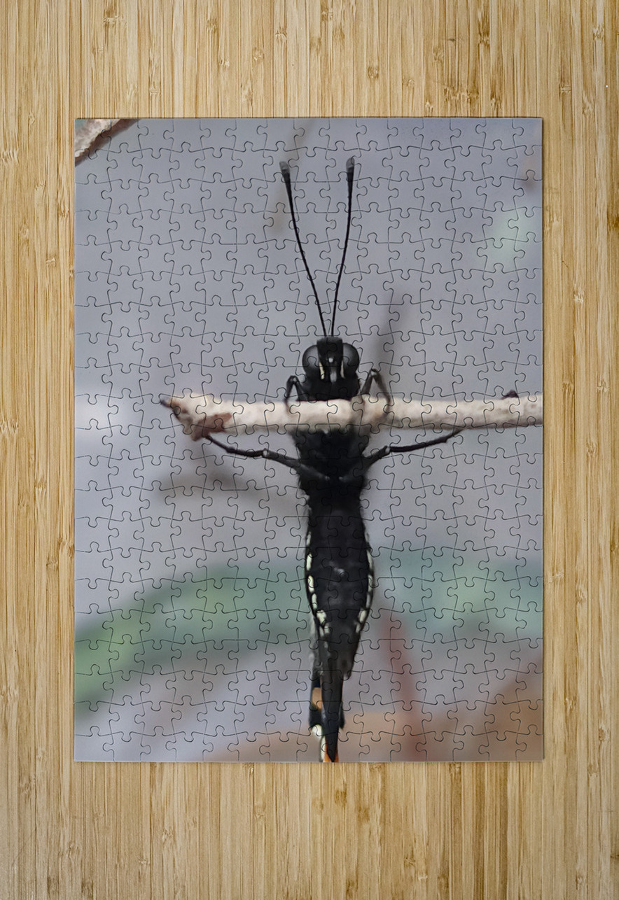 Butterfly Pullup Earthshine Emporium Puzzle printing