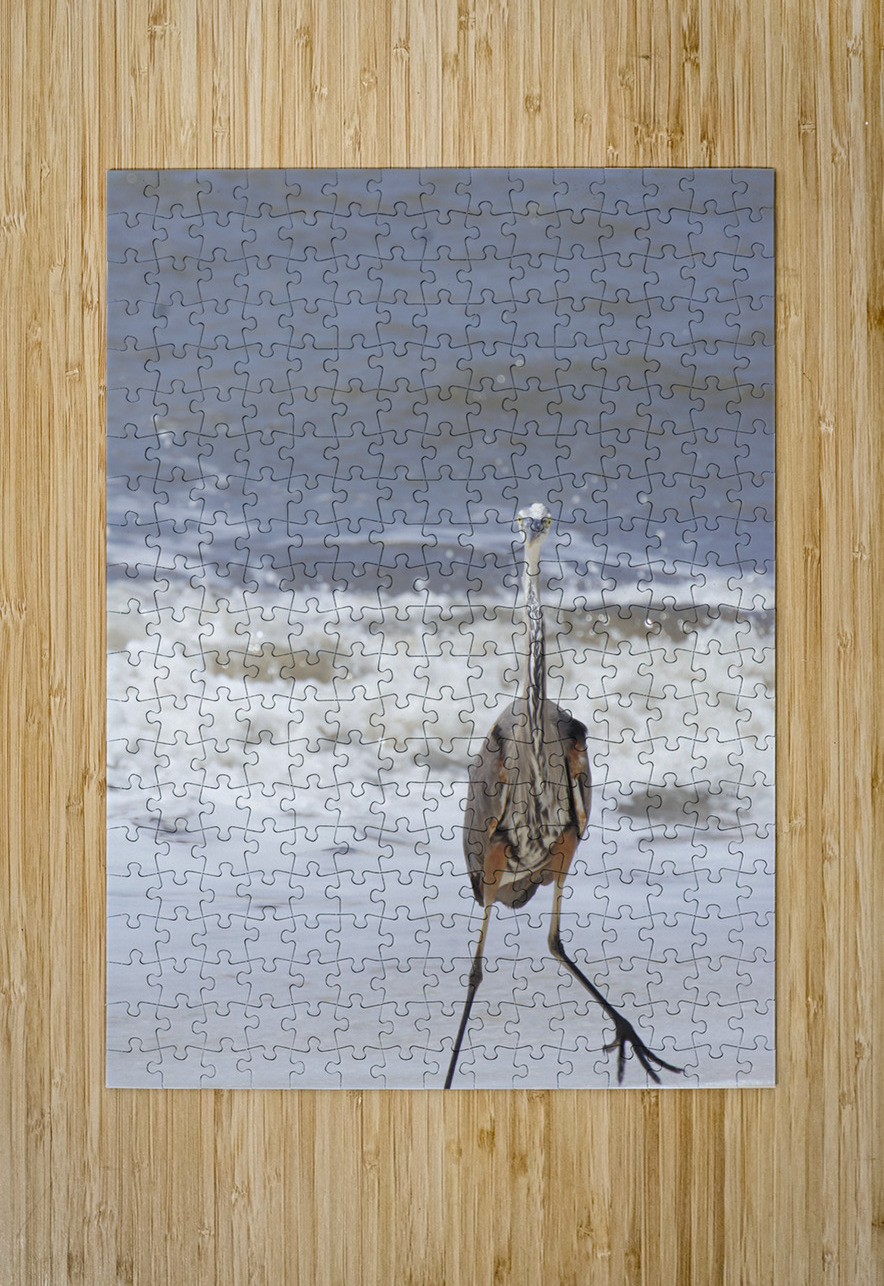 Sneaky Blue Heron Earthshine Emporium Puzzle printing