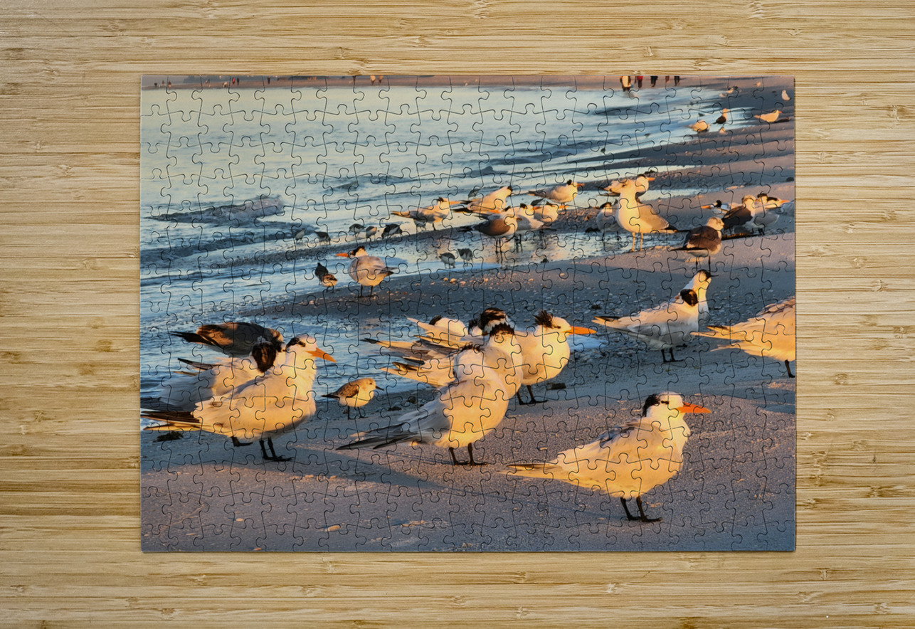 Gulls & Terns Earthshine Emporium Puzzle printing
