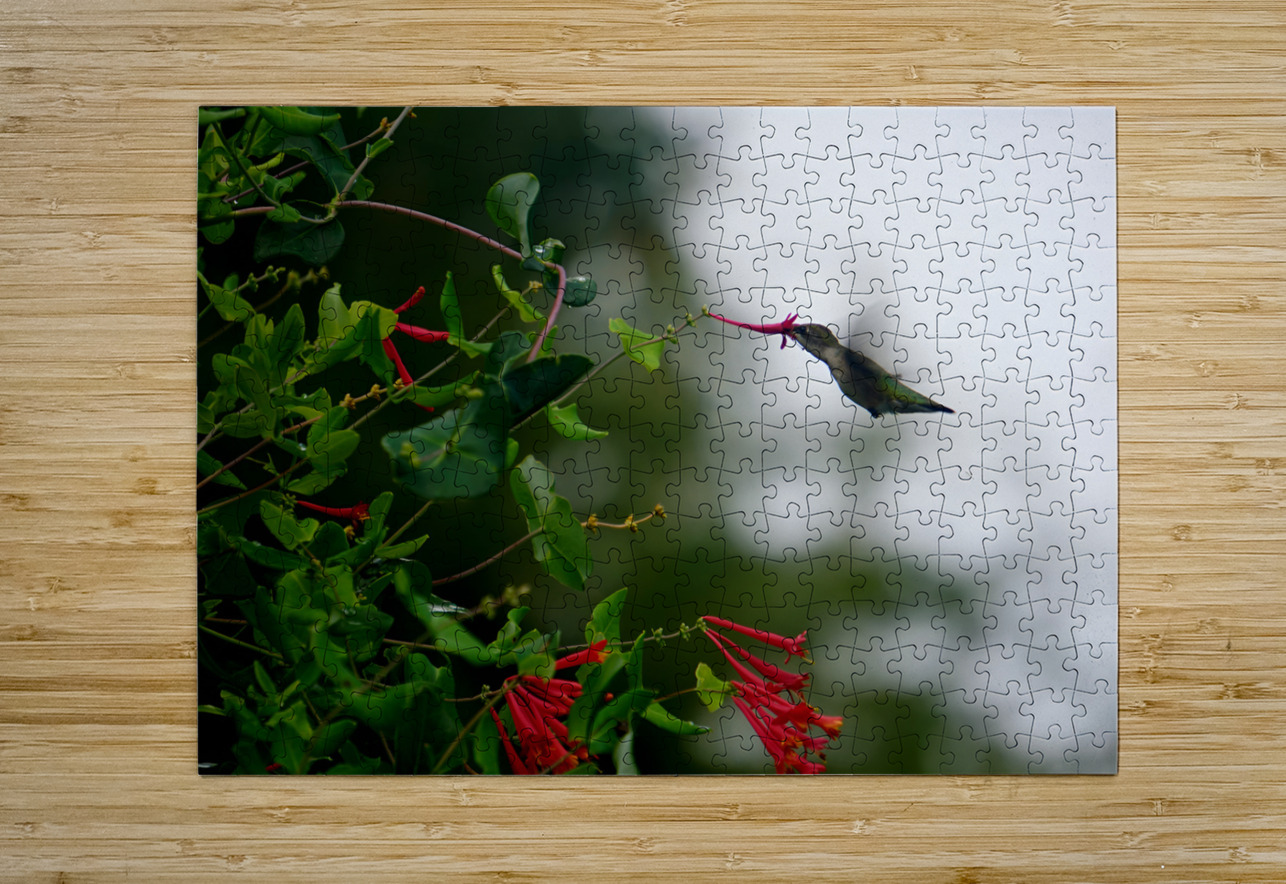Nectaring Hummingbird Earthshine Emporium Puzzle printing