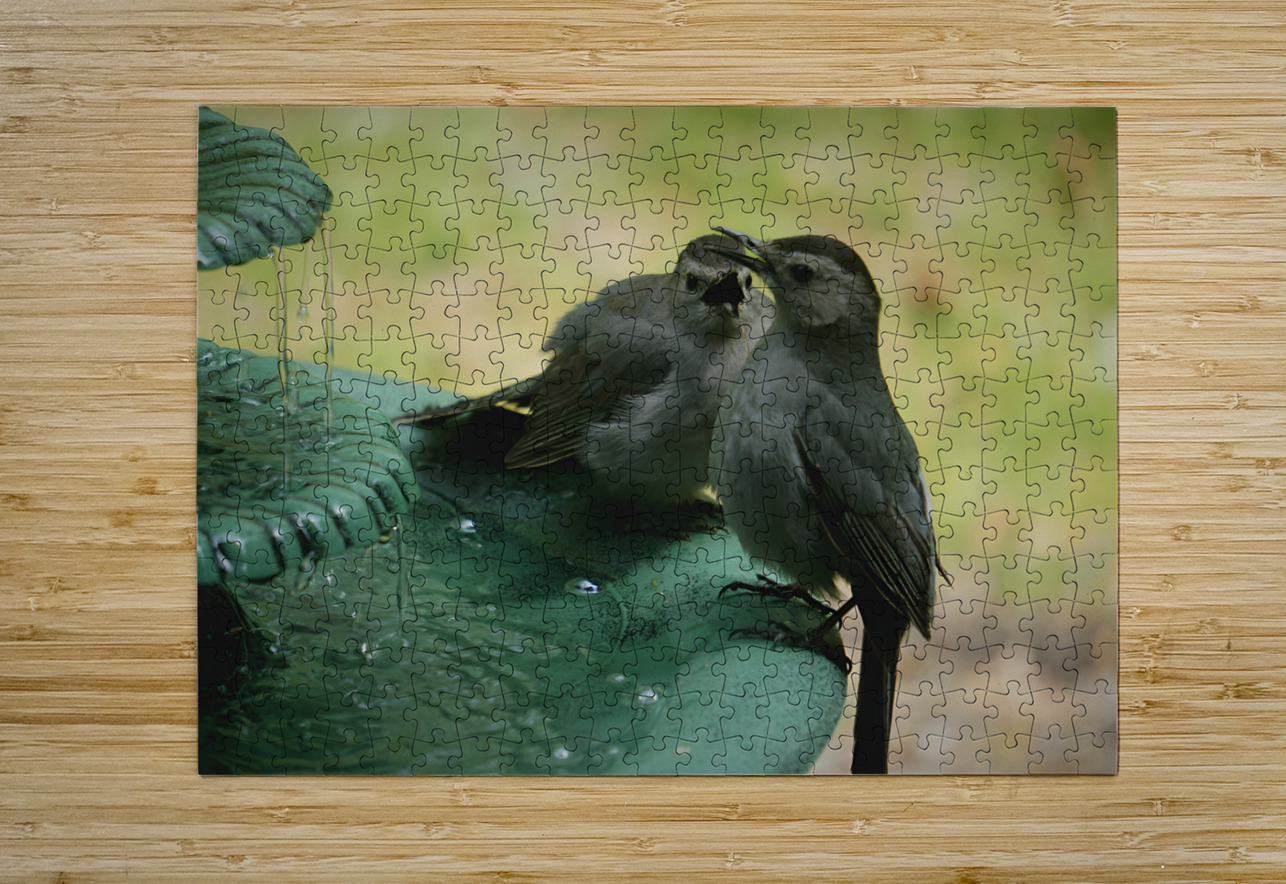 Catbird Scolding Earthshine Emporium Puzzle printing