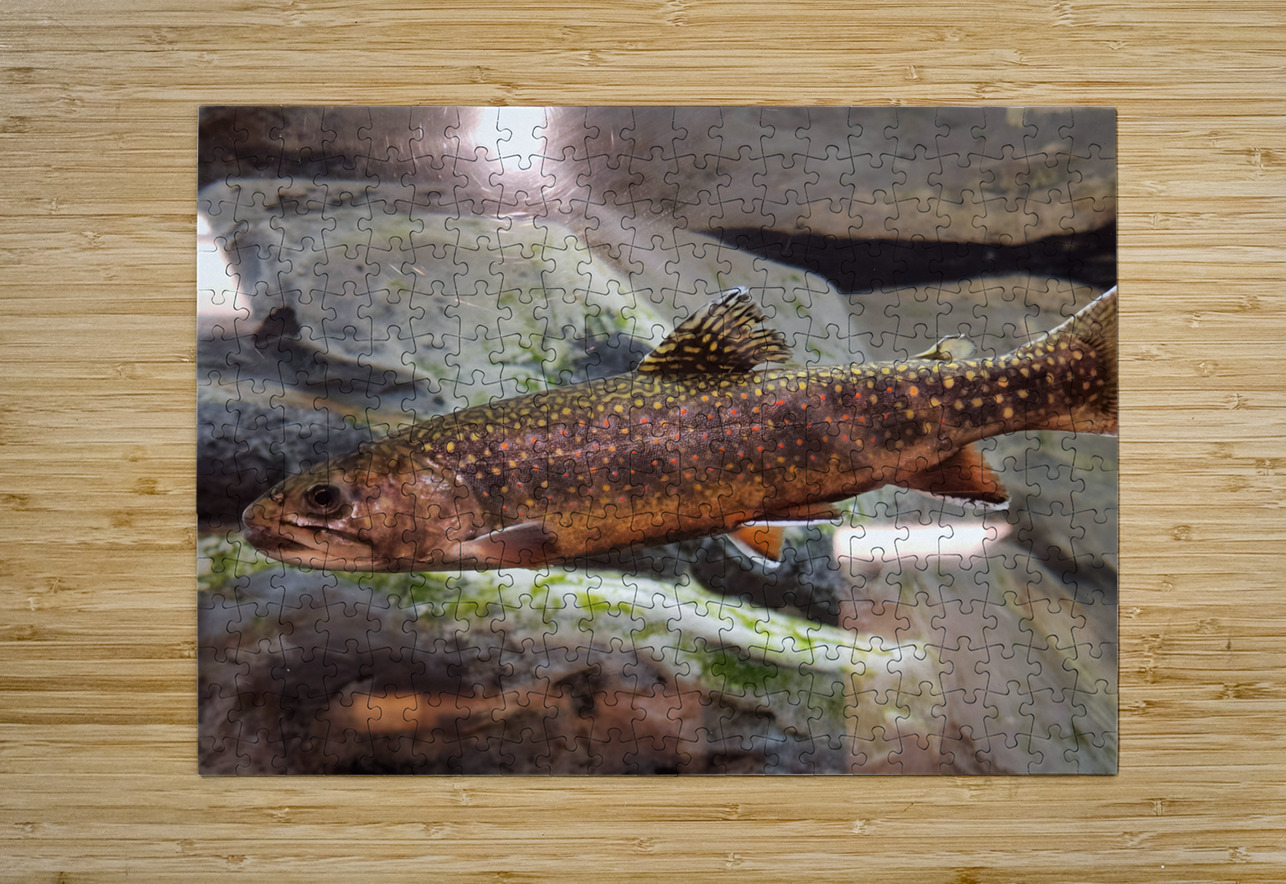 Brook Trout Earthshine Emporium Puzzle printing