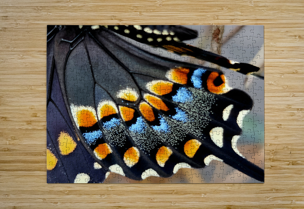 Black Swallowtail Closeup Earthshine Emporium Puzzle printing