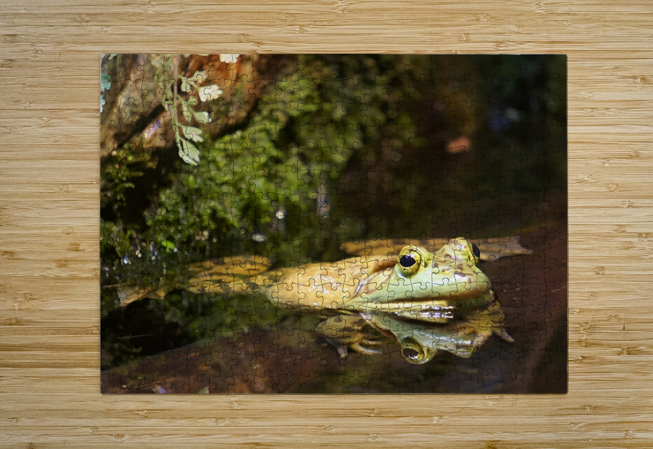 Bull Frog Earthshine Emporium Puzzle printing