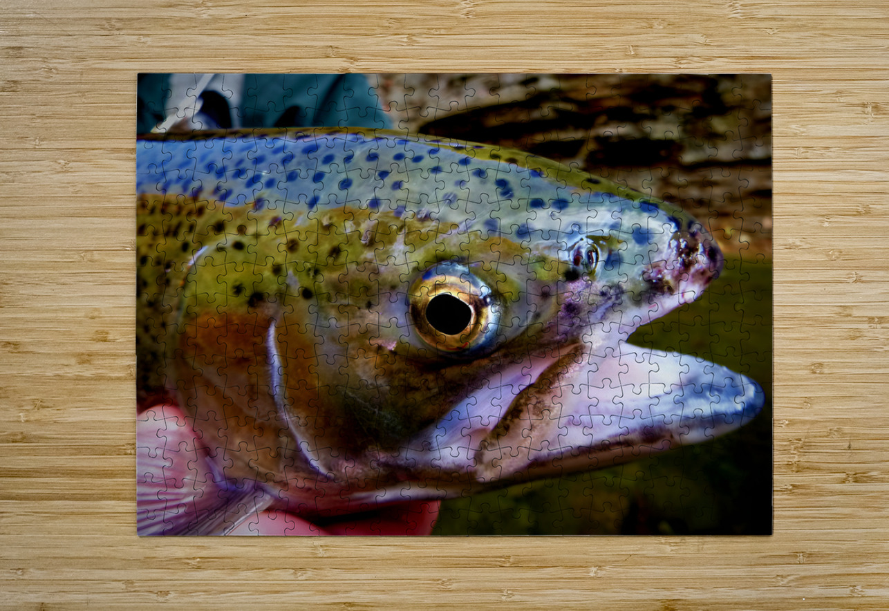 Steelhead Closeup Earthshine Emporium Puzzle printing