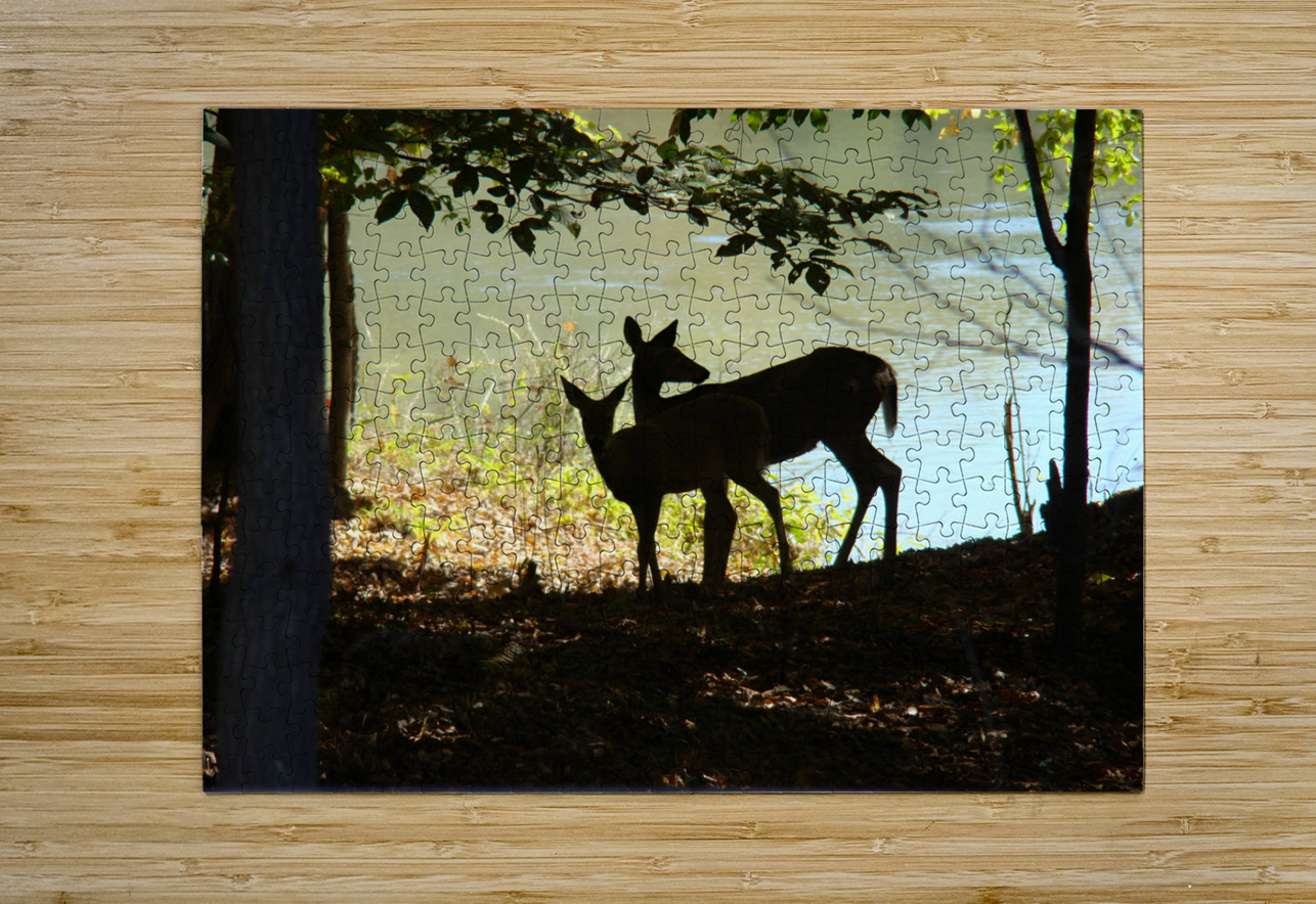 Lake Deer Earthshine Emporium Puzzle printing