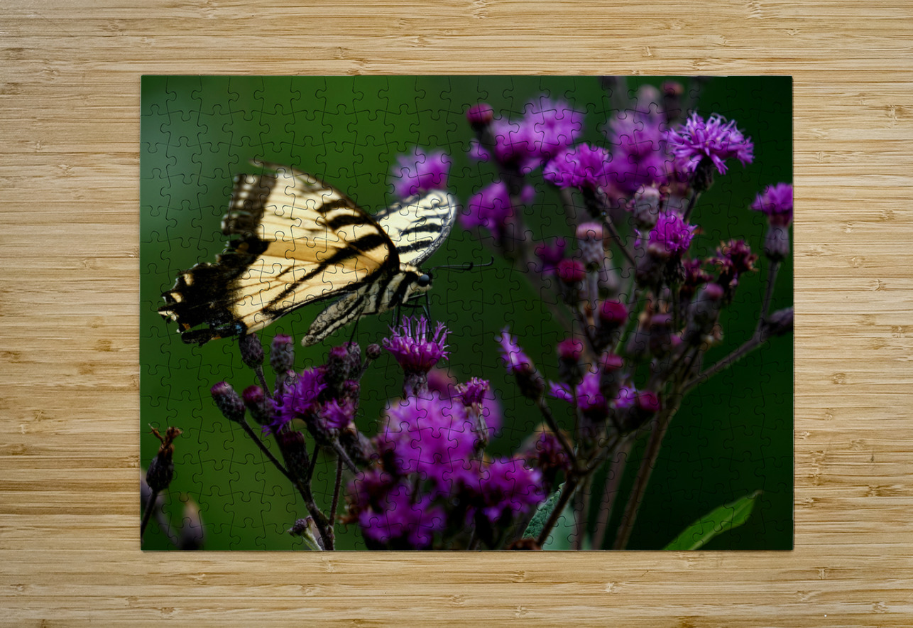 Swallowtail On Ironweed Earthshine Emporium Puzzle printing