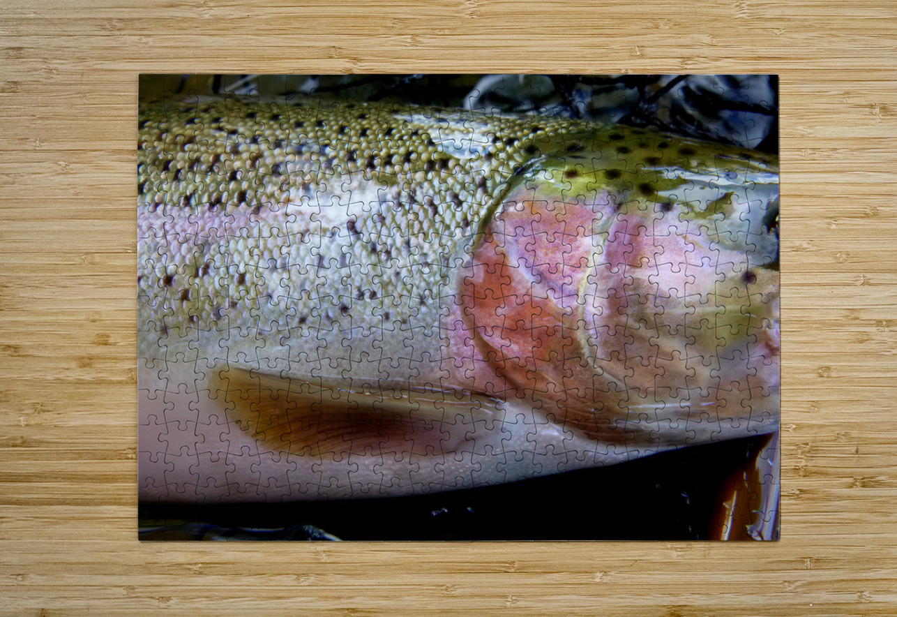 Trout Operculum Earthshine Emporium Puzzle printing