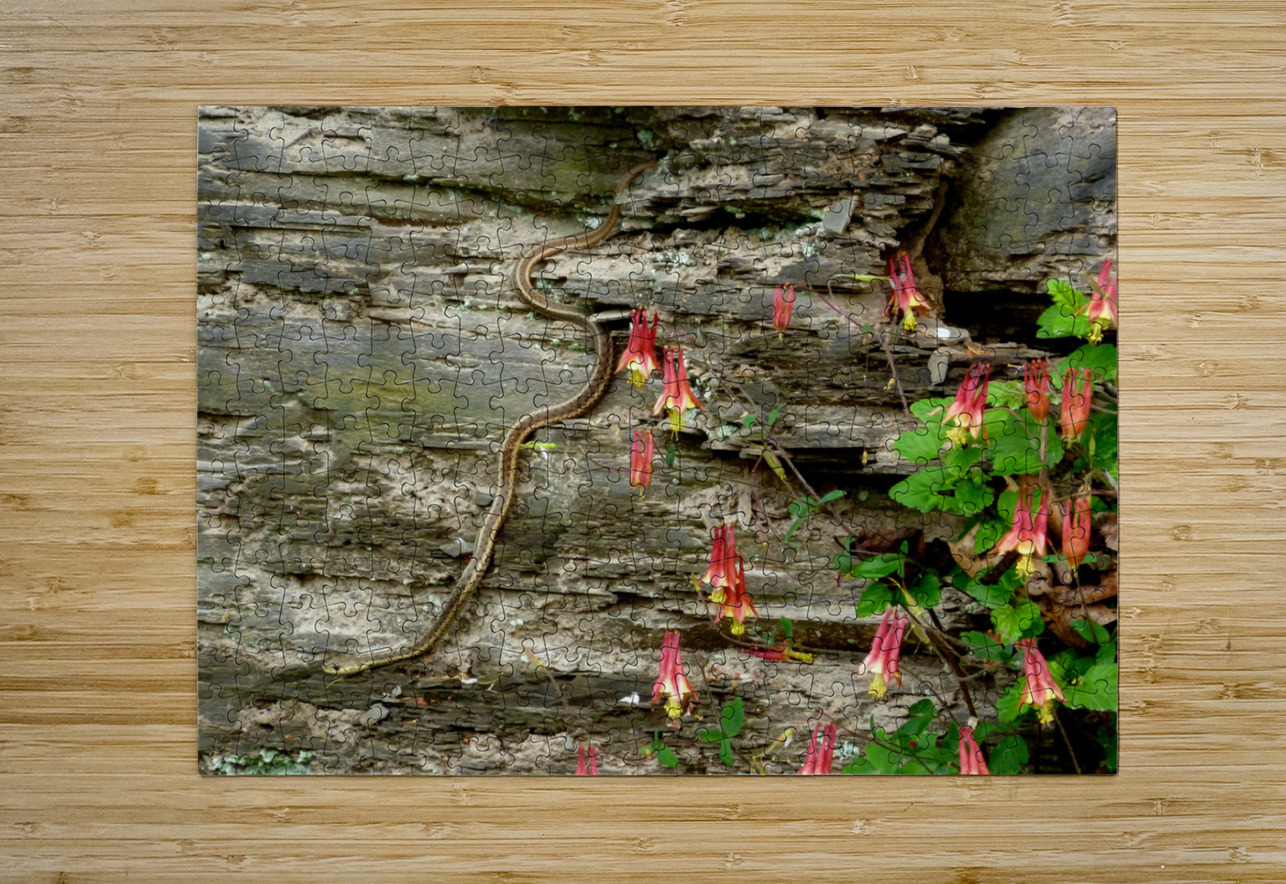 Beauty And Beast Earthshine Emporium Puzzle printing