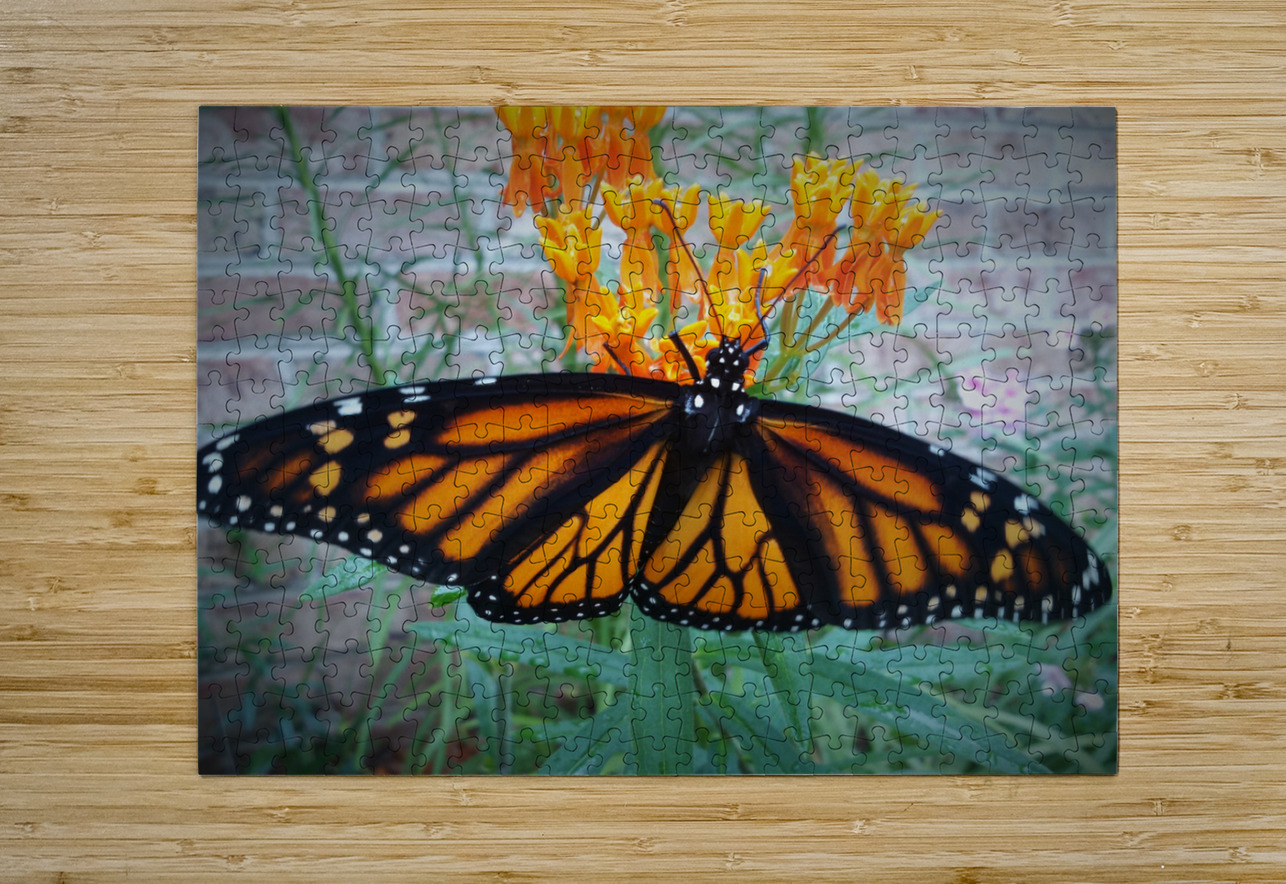 Monarch Female Earthshine Emporium Puzzle printing