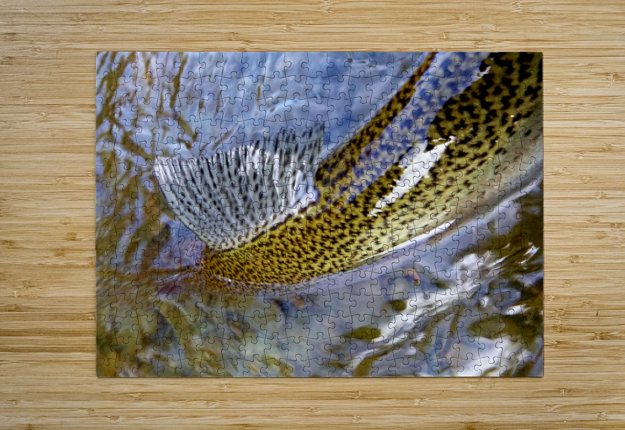 Trout Dorsal Fin Earthshine Emporium Puzzle printing