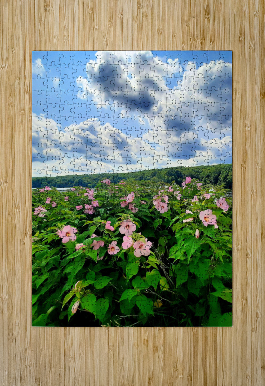 Swamp Mallow At Moraine State Park Earthshine Emporium Puzzle printing