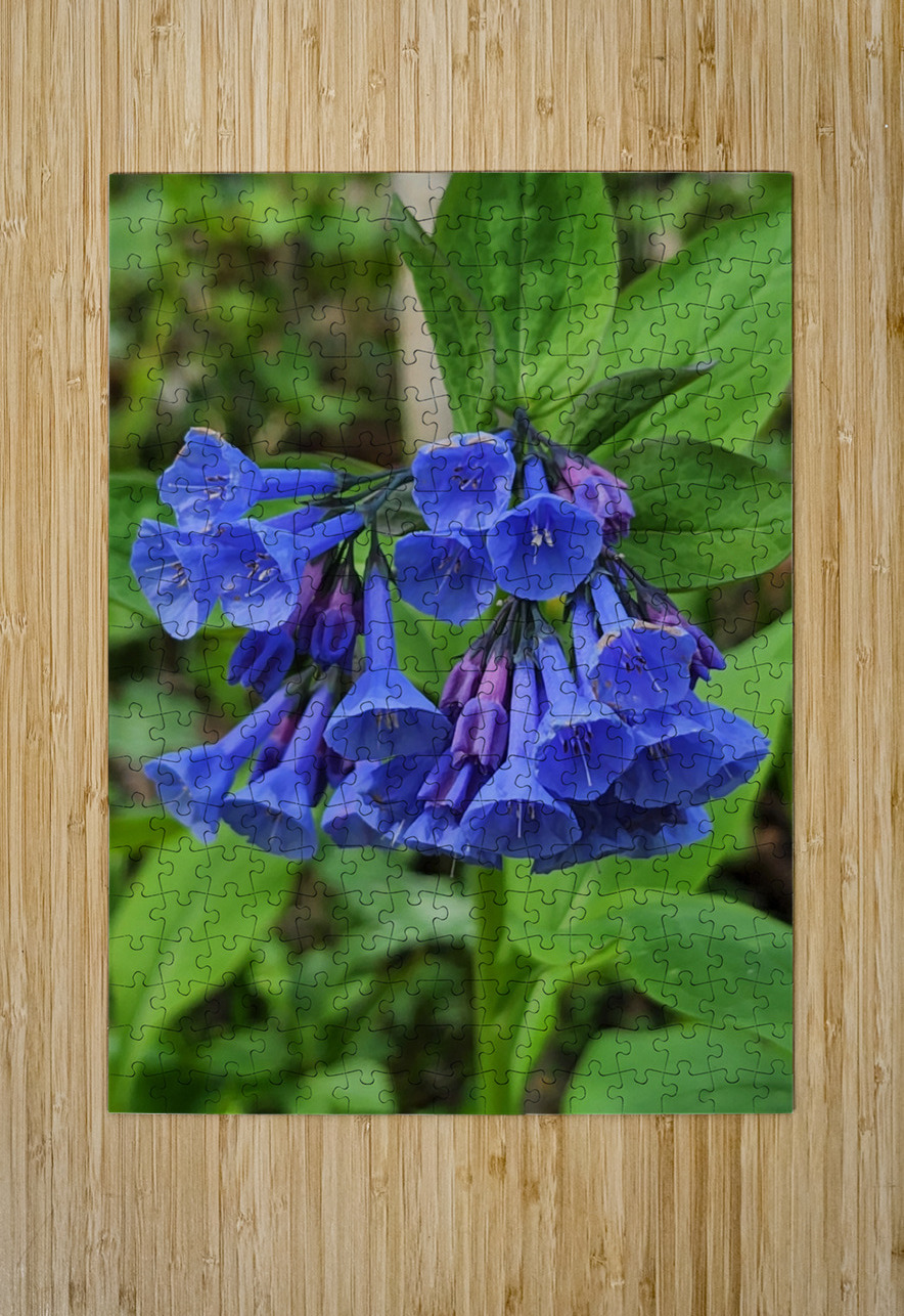 Virginia Bluebells Earthshine Emporium Puzzle printing