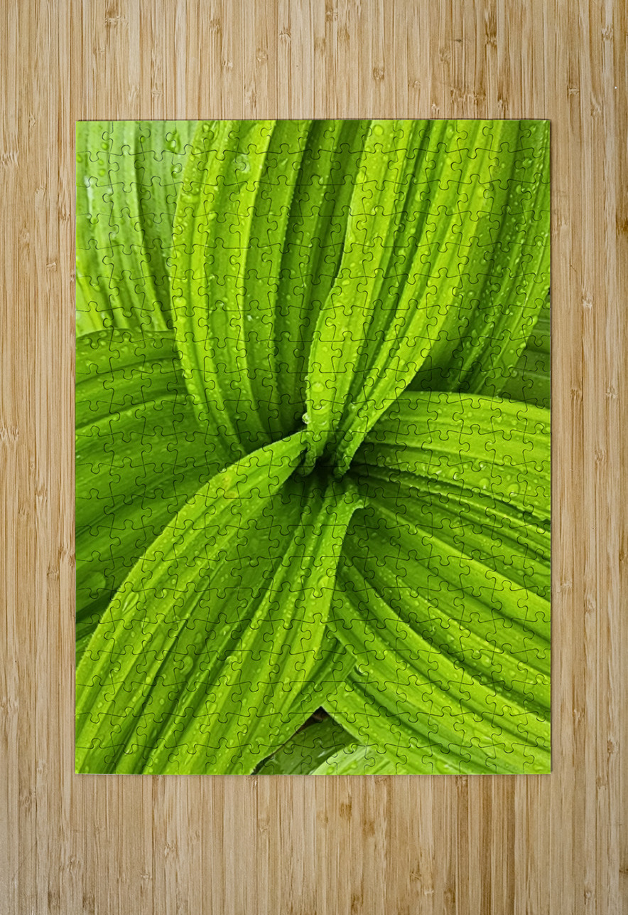 False Hellebore Earthshine Emporium Puzzle printing