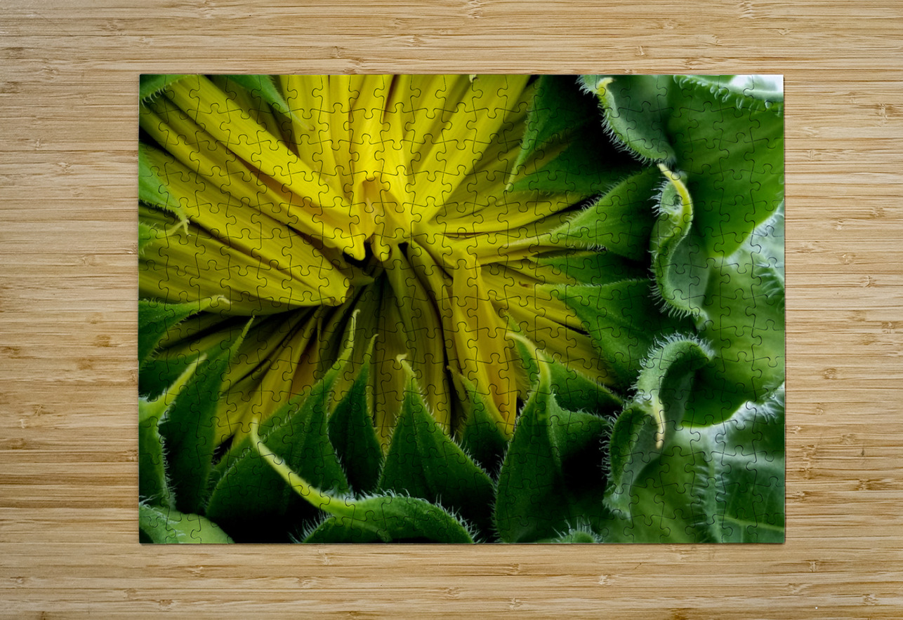 Sunflower Bud Earthshine Emporium Puzzle printing
