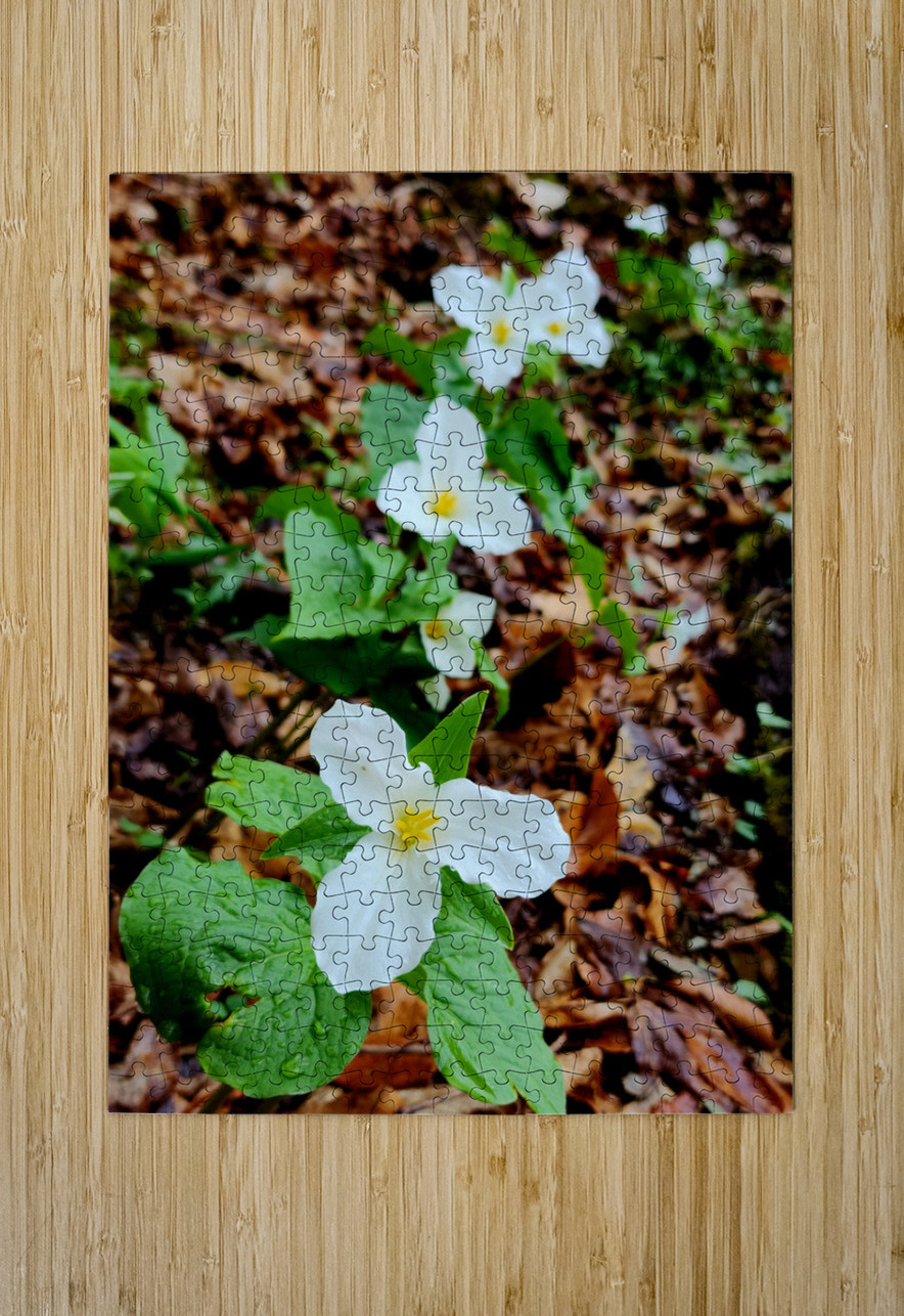 White Trillium Column Earthshine Emporium Puzzle printing