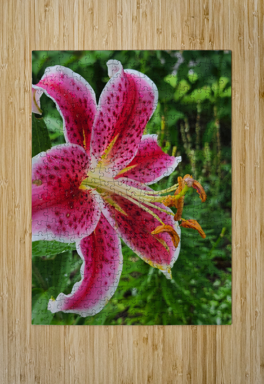 Stargazer Lily Earthshine Emporium Puzzle printing