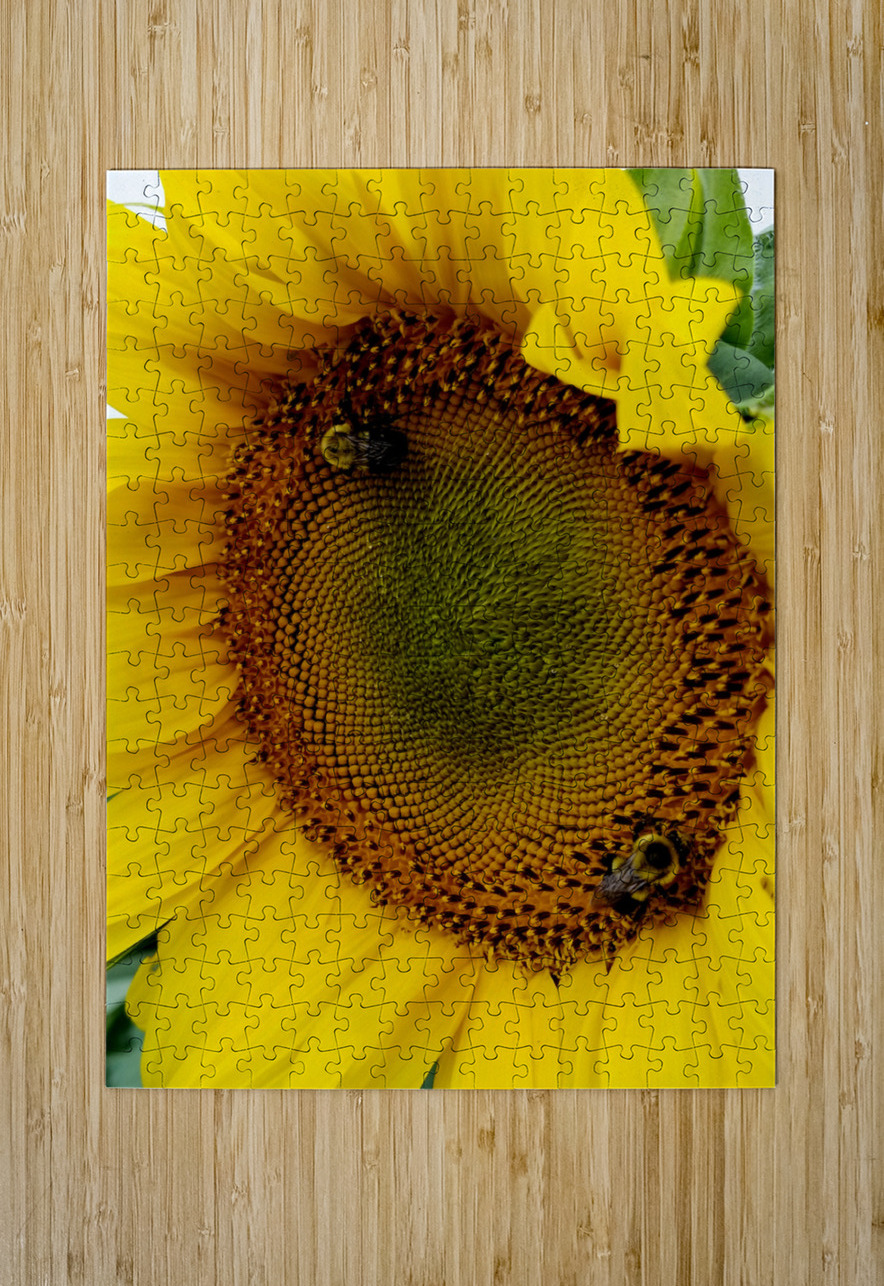 Sunflower Left Earthshine Emporium Puzzle printing