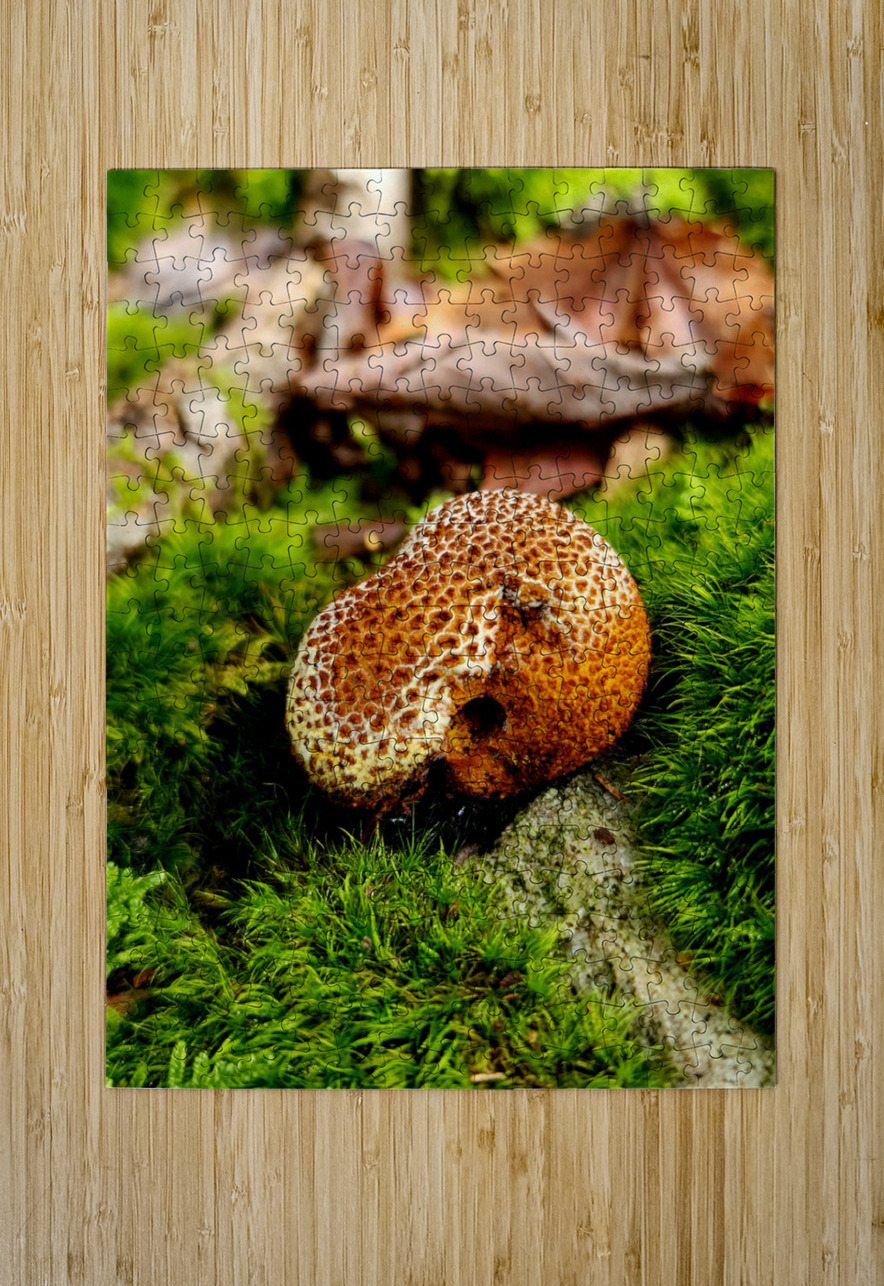 Snoring Fungus Earthshine Emporium Puzzle printing