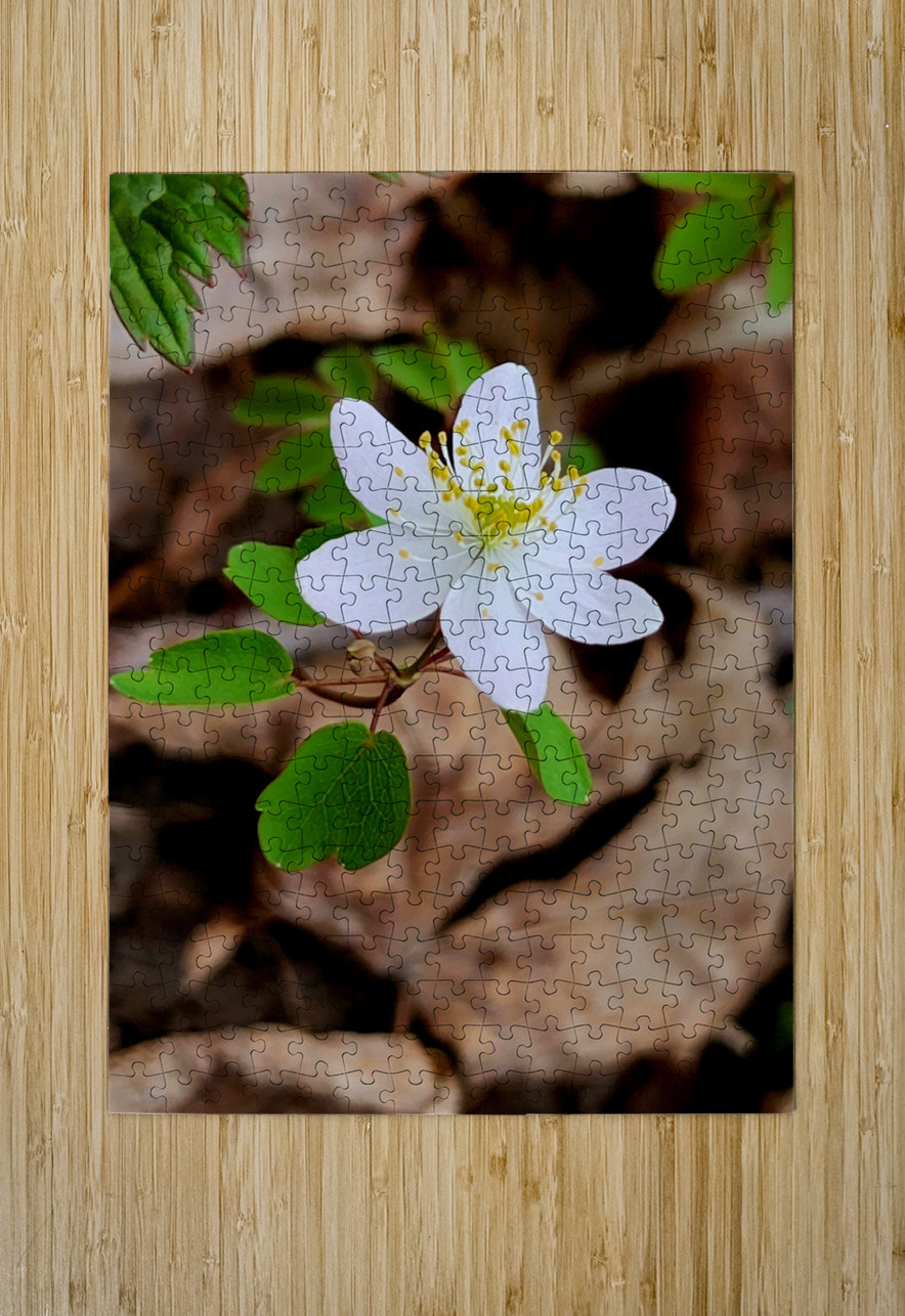 Rue Anemone Earthshine Emporium Puzzle printing