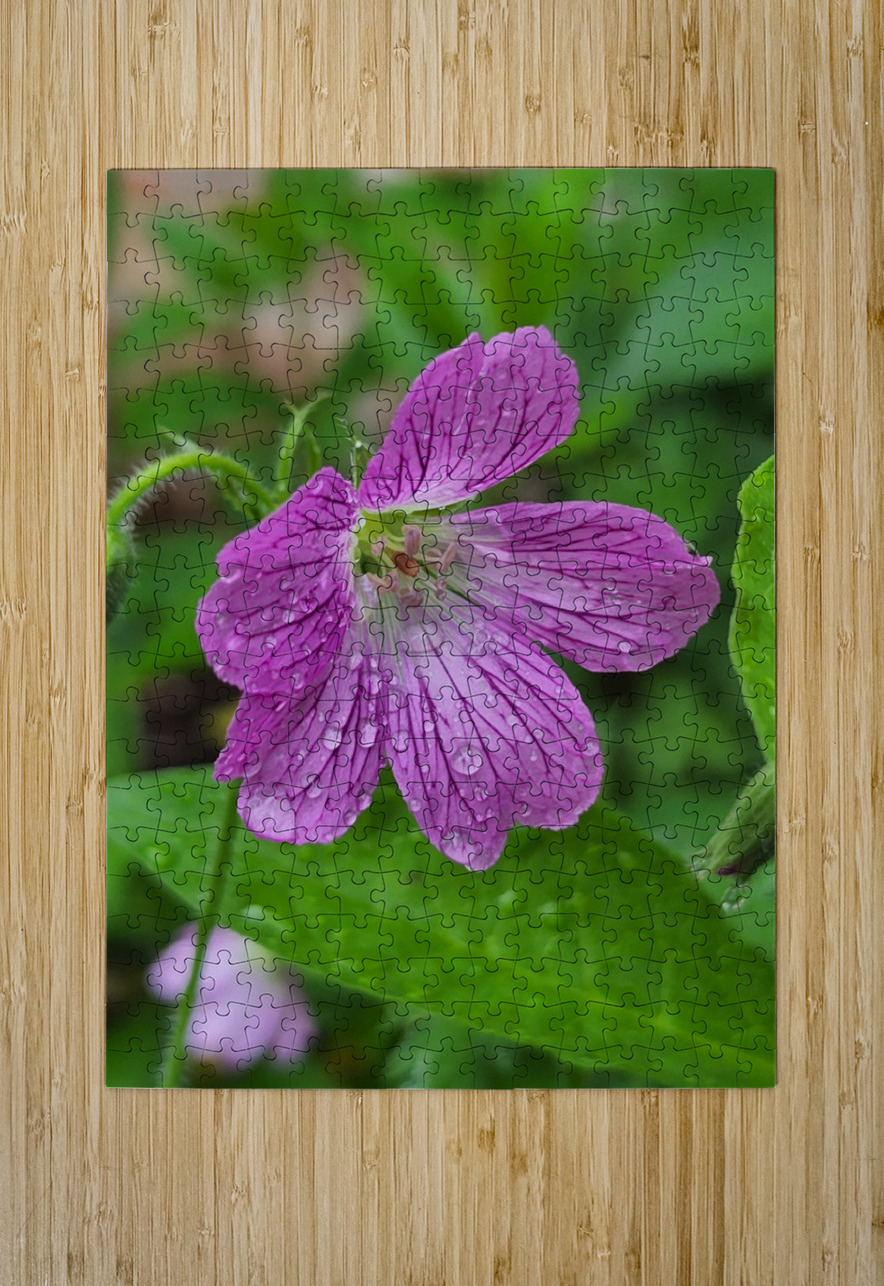 Wild Geranium Earthshine Emporium Puzzle printing