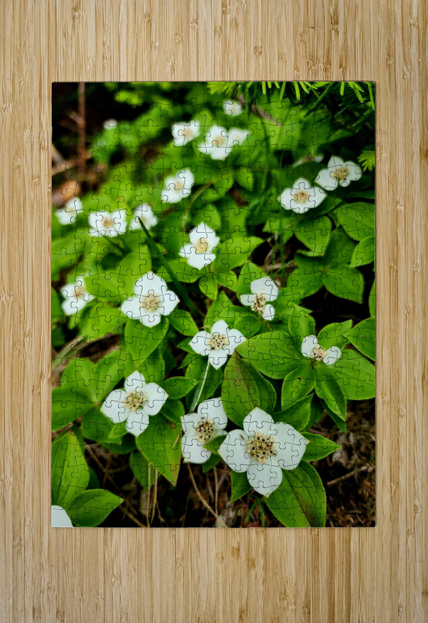 Bunchberry Earthshine Emporium Puzzle printing