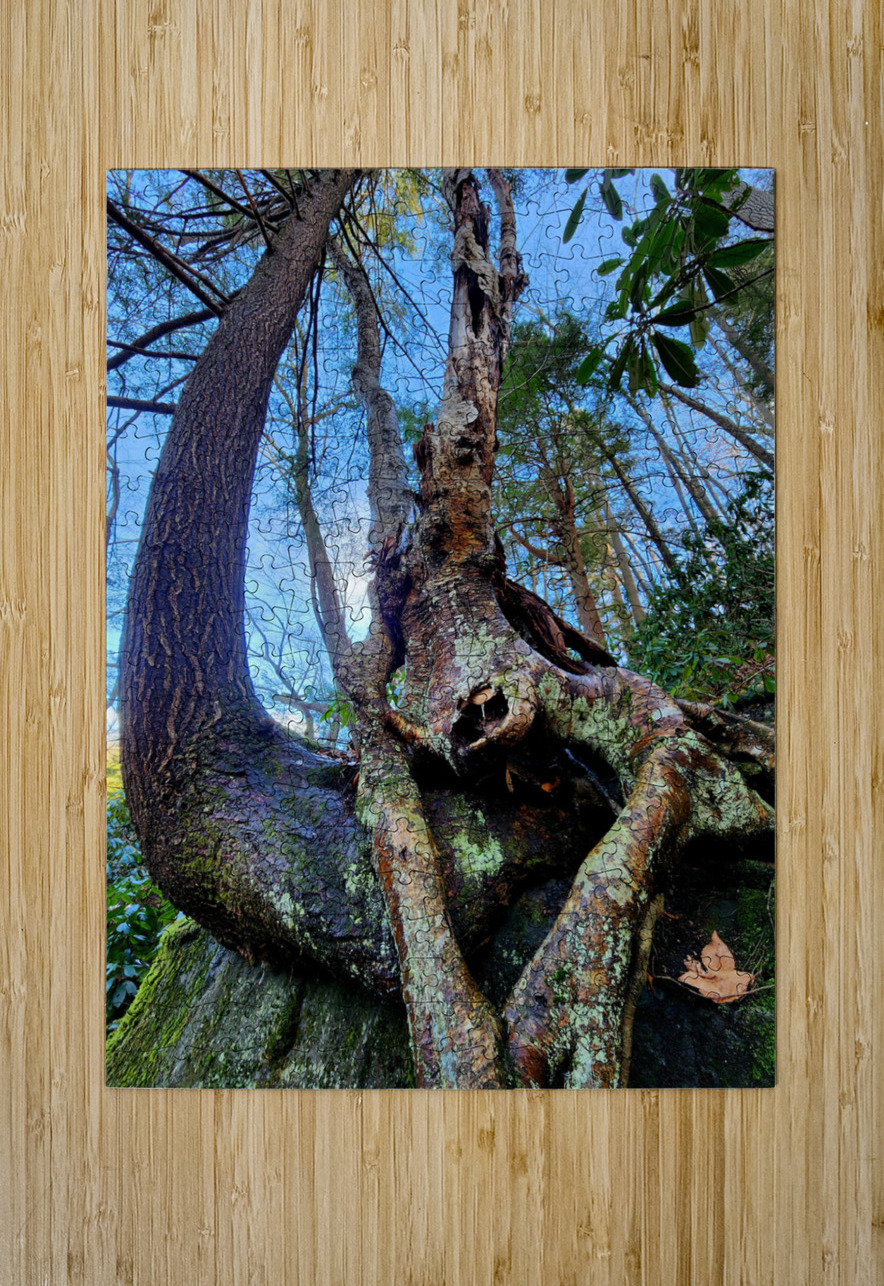 Muppet Tree 1 Earthshine Emporium Puzzle printing