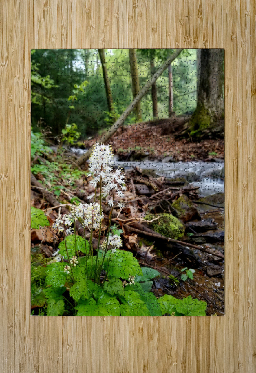 Foamflower Streamside Earthshine Emporium Puzzle printing