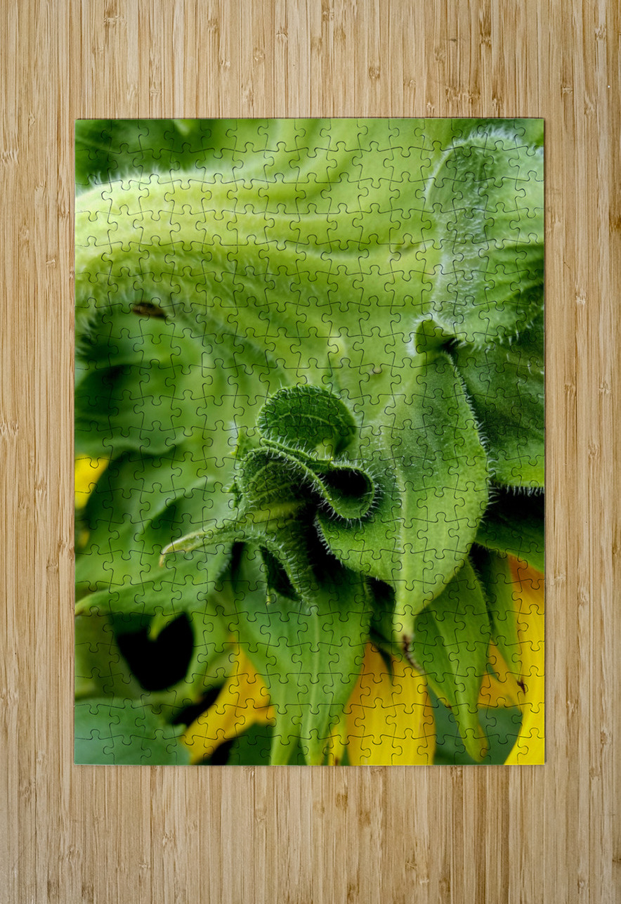 Sunflower Sepals Earthshine Emporium Puzzle printing