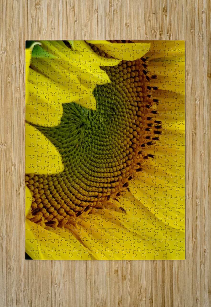 Sunflower Right Earthshine Emporium Puzzle printing
