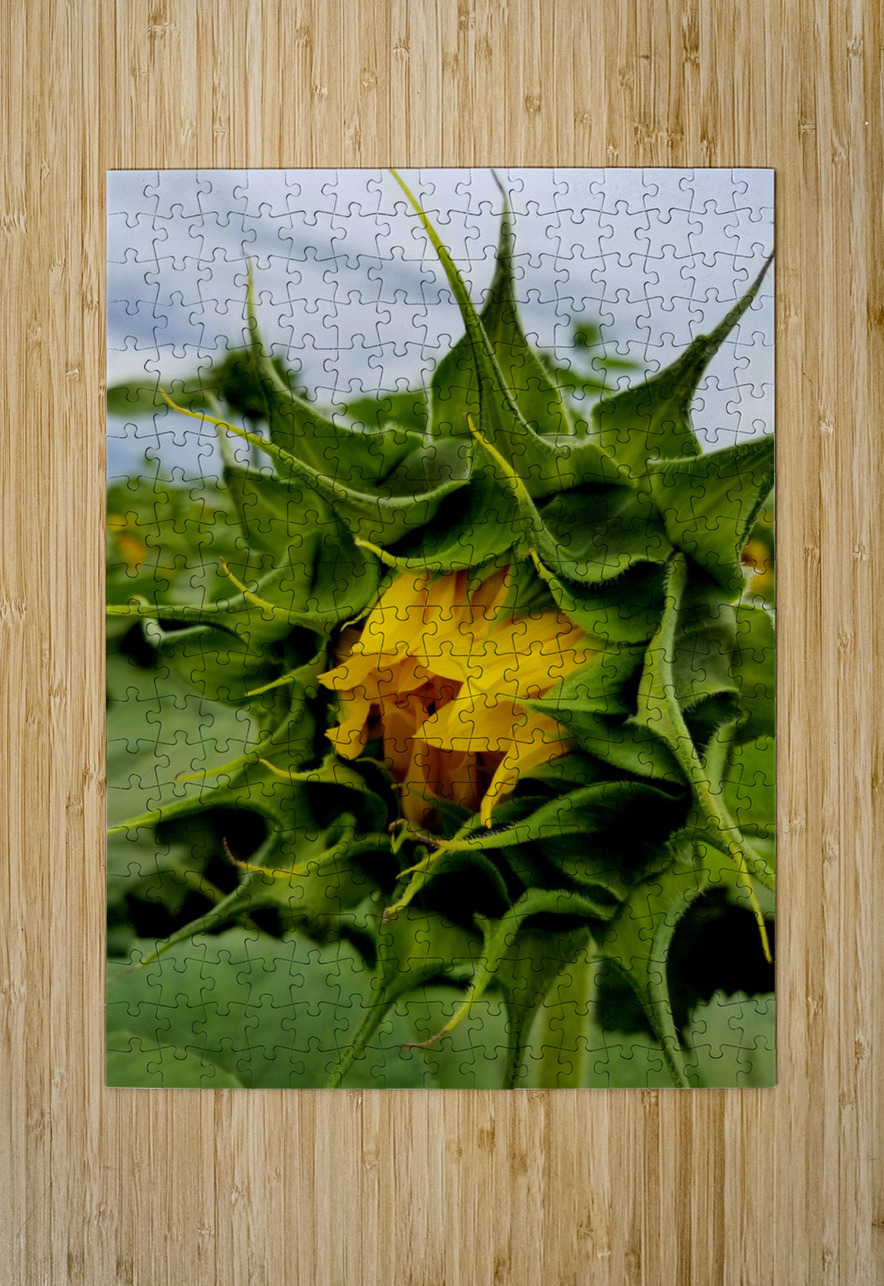 Sunflower Beak Earthshine Emporium Puzzle printing