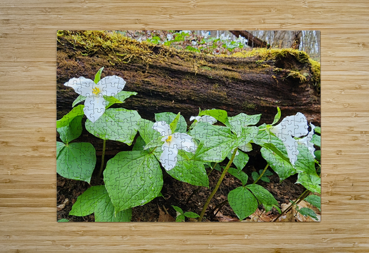 White Trillium Line Earthshine Emporium Puzzle printing